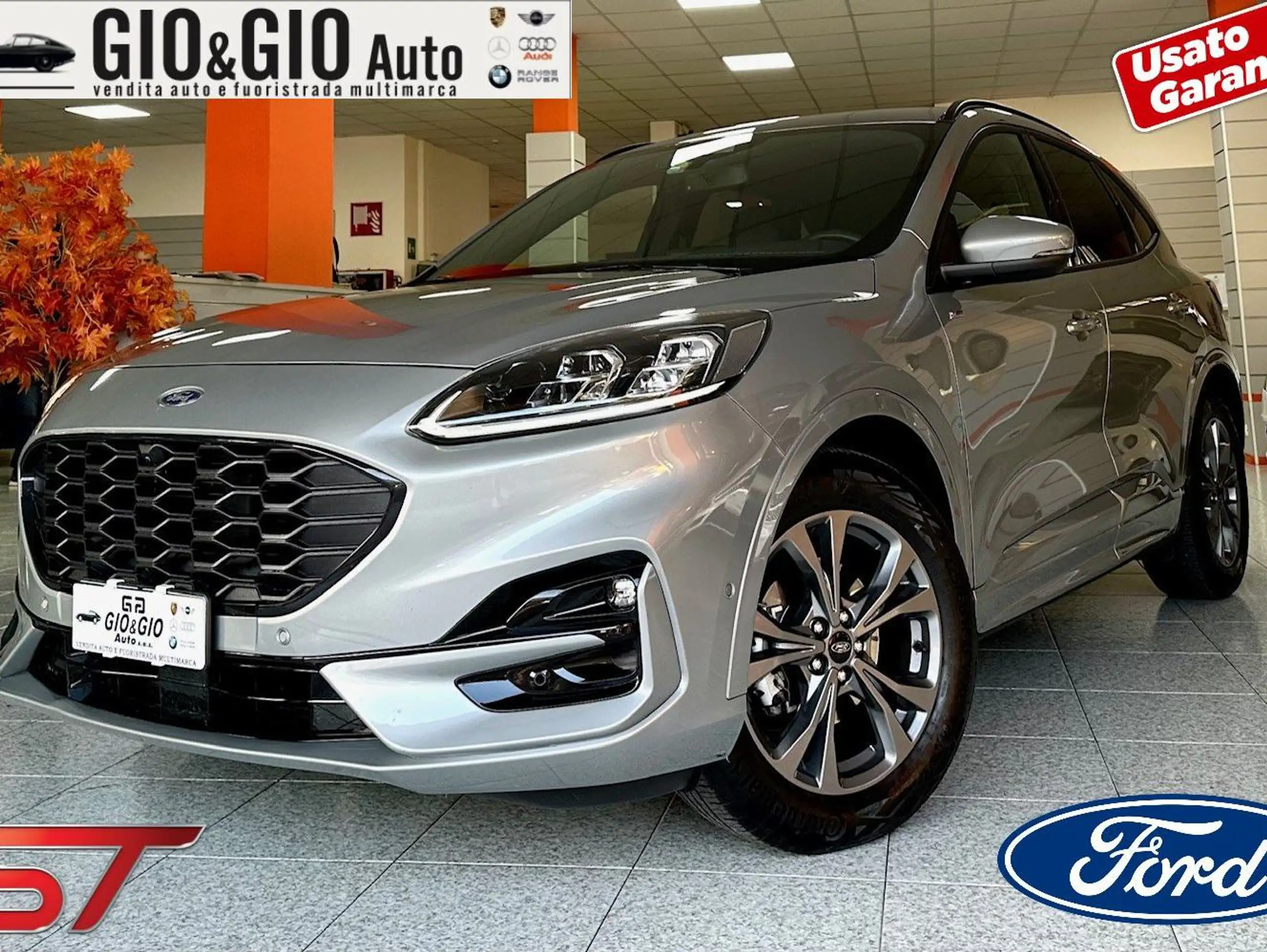 Ford - Kuga