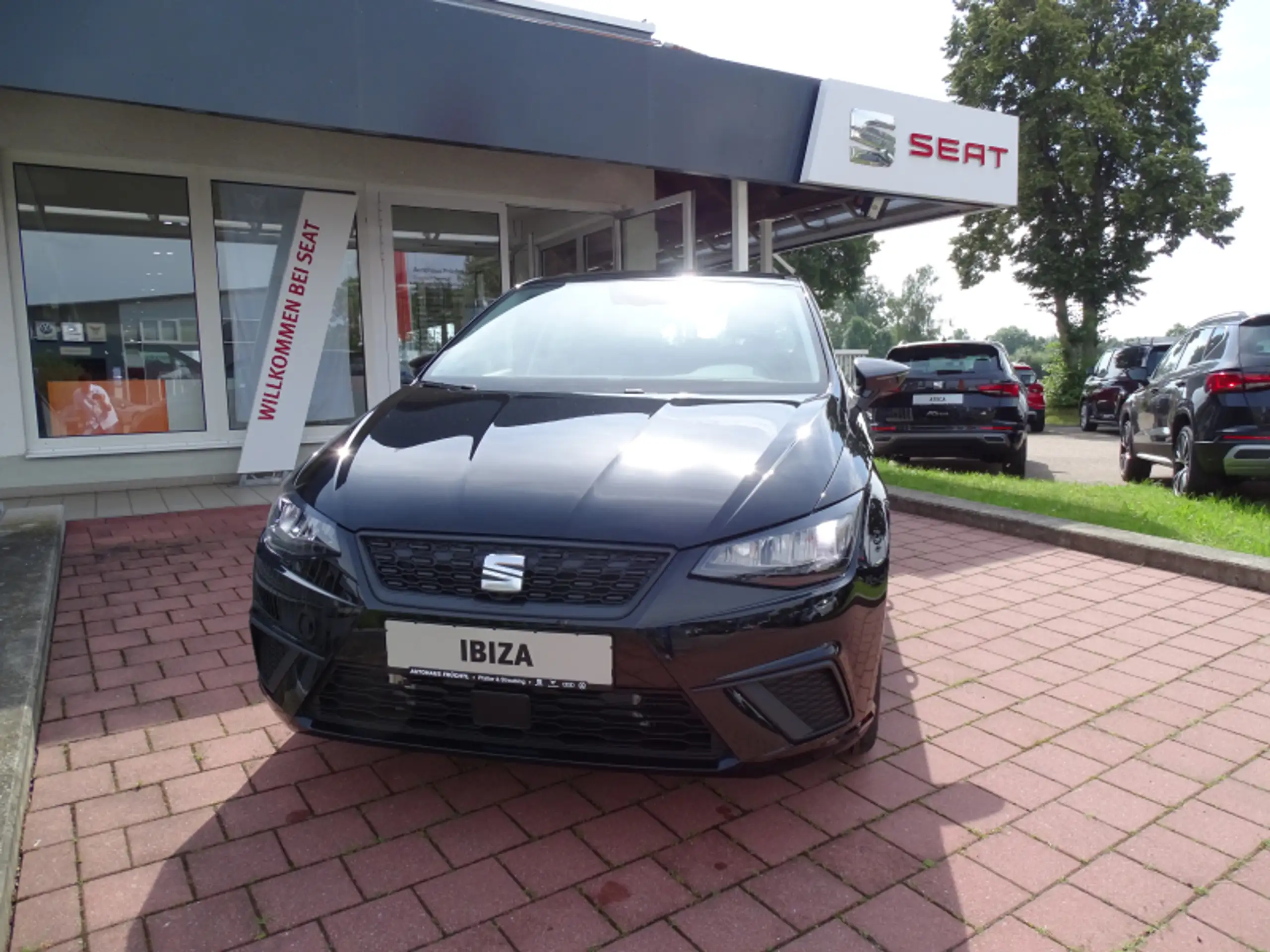 SEAT - Ibiza