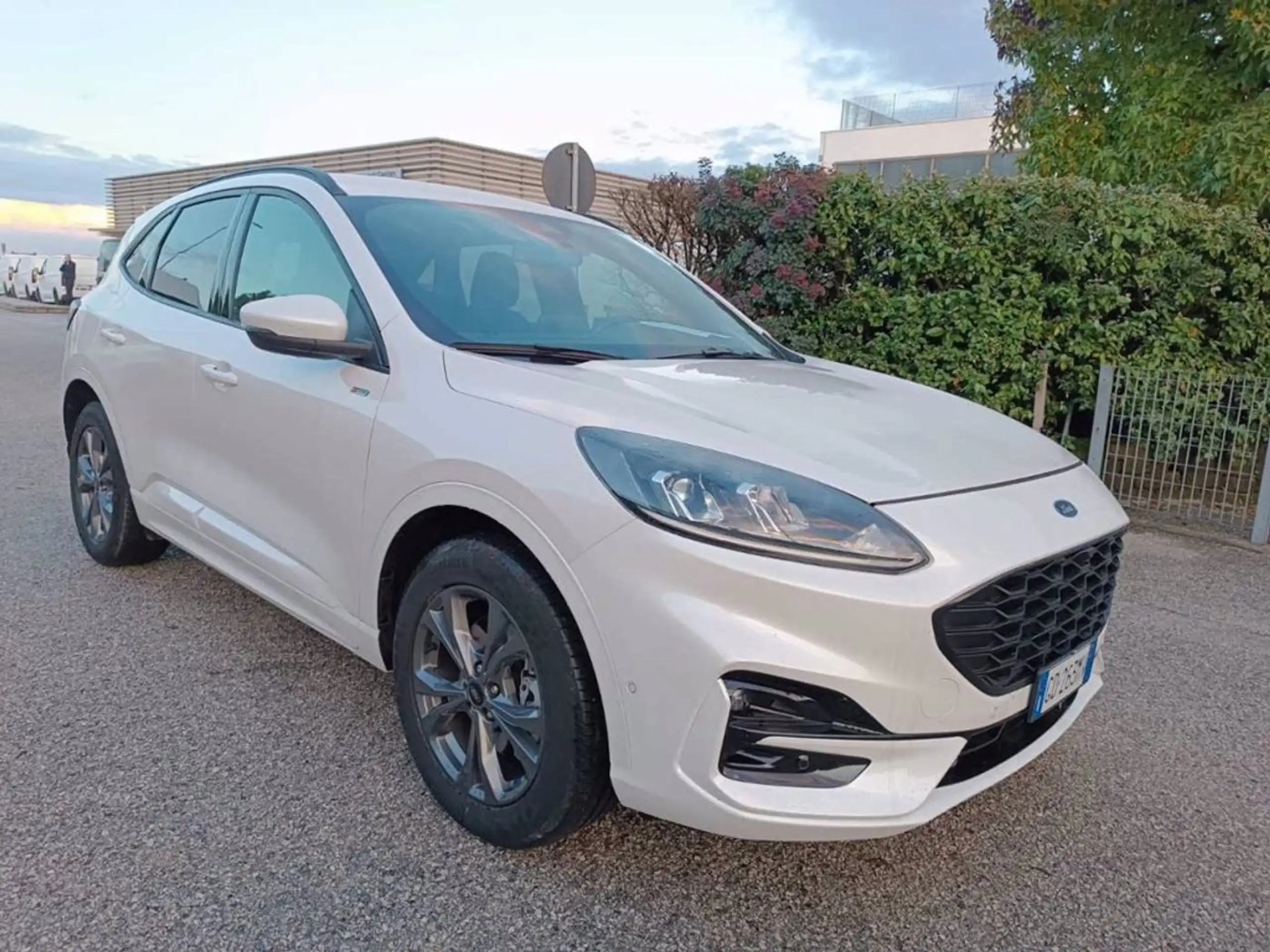 Ford - Kuga