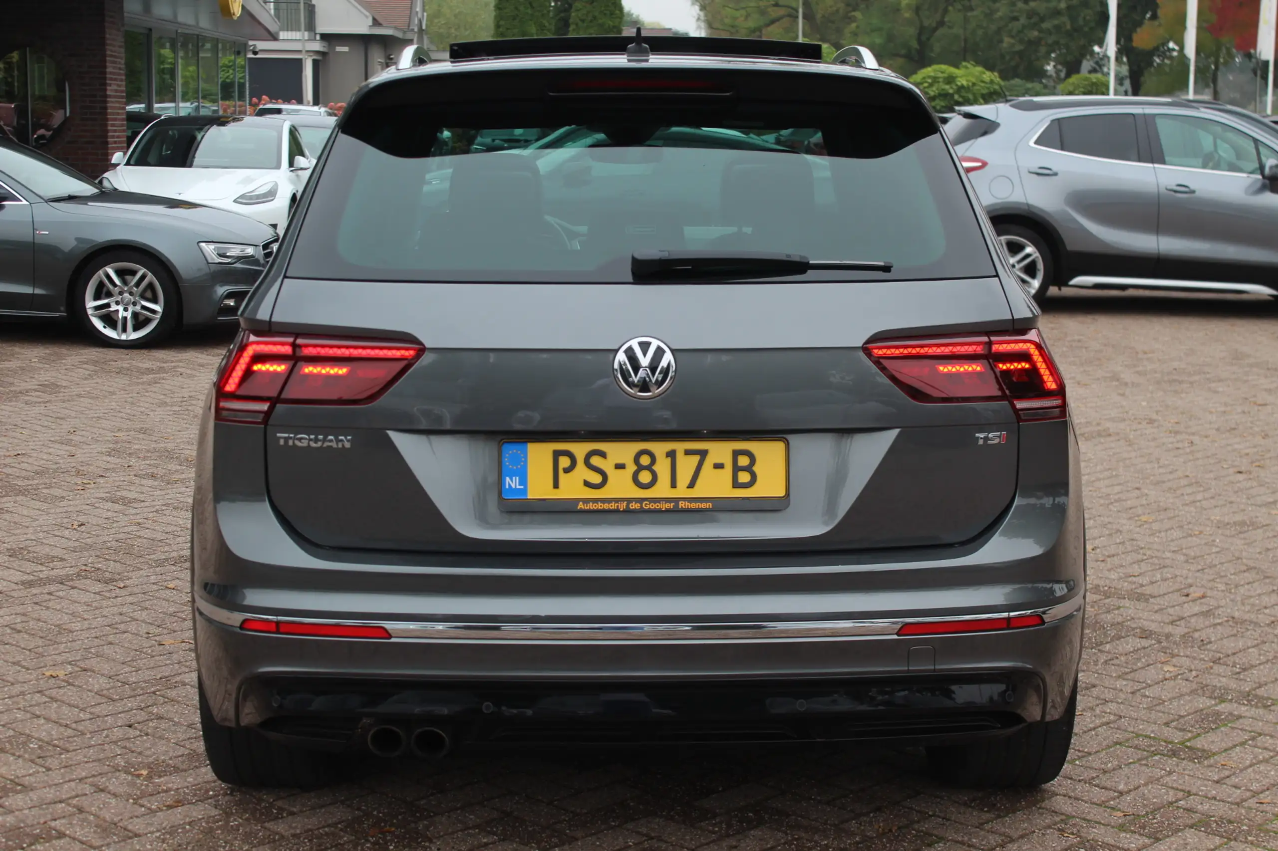 Volkswagen - Tiguan