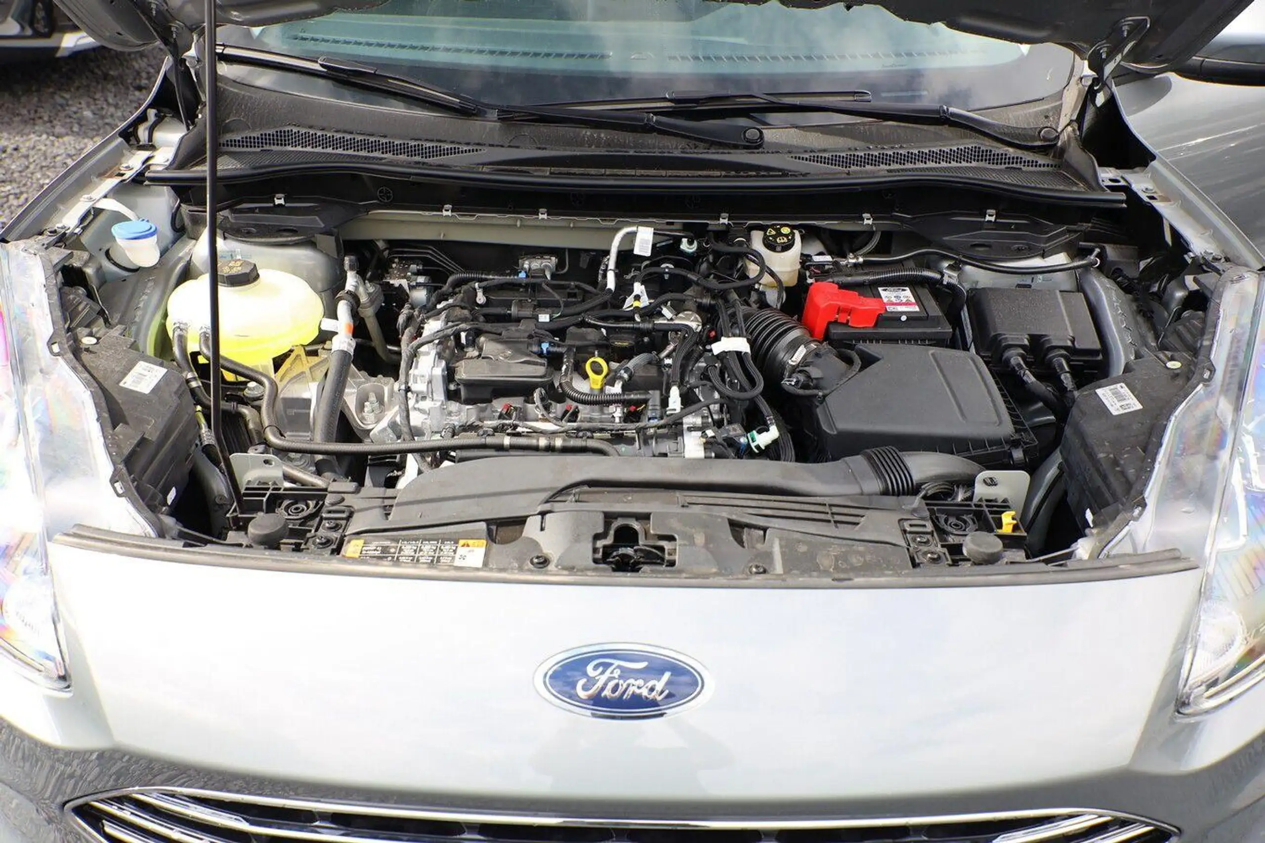 Ford - Kuga