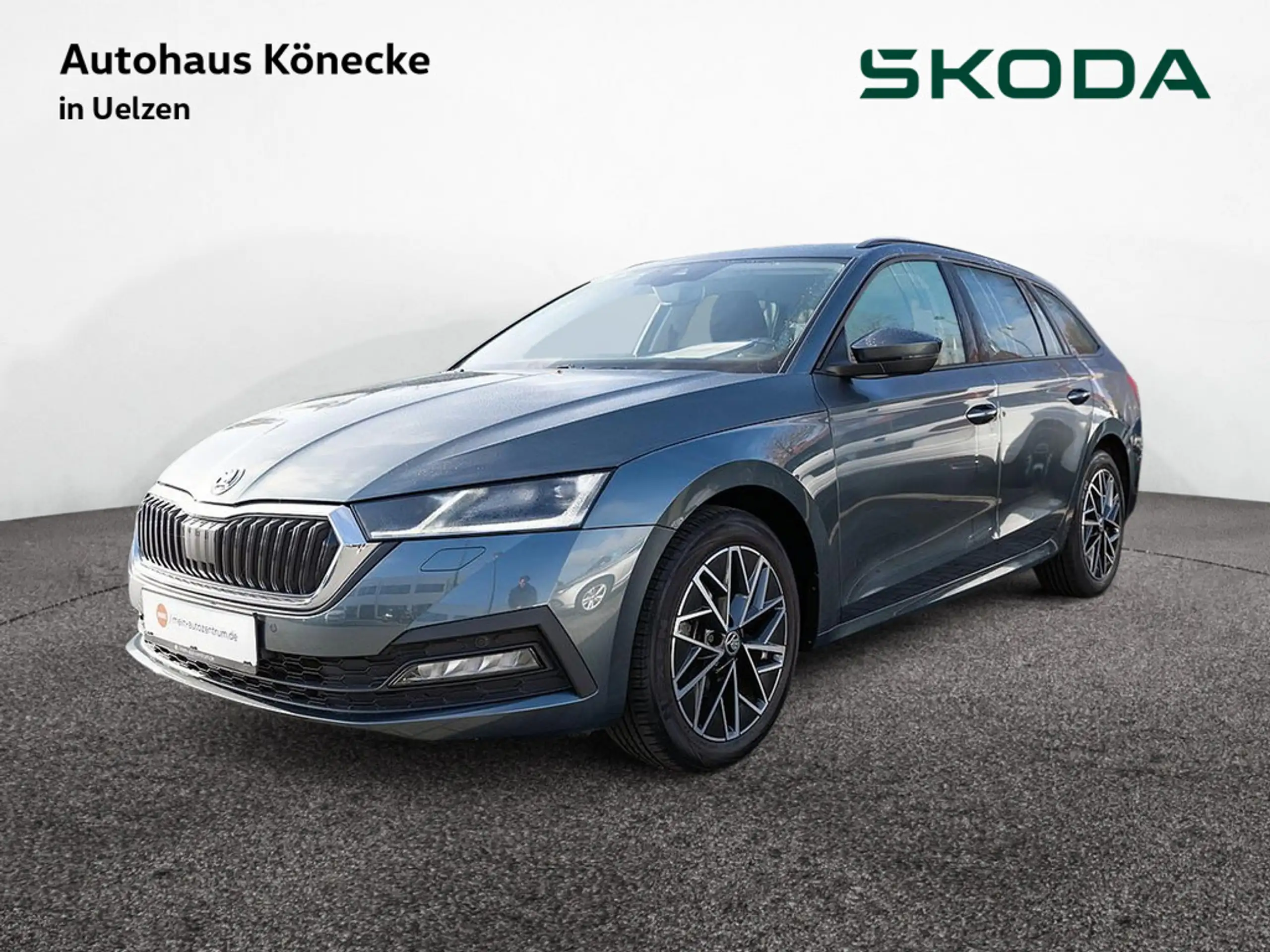 Skoda - Octavia