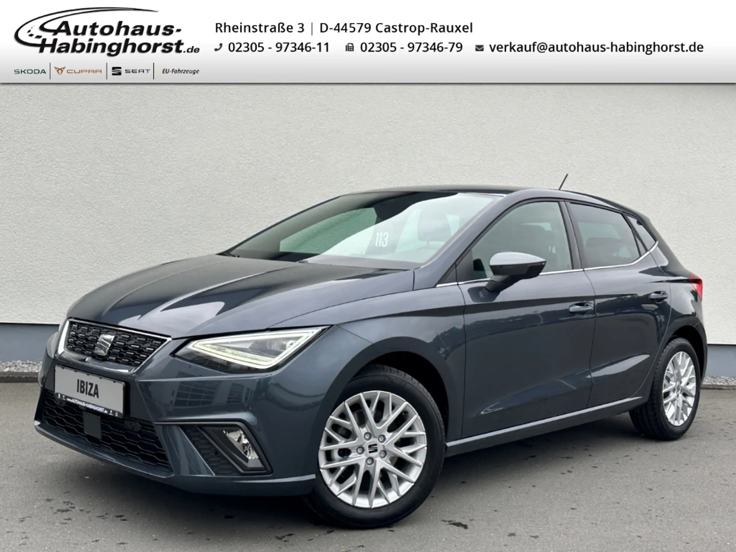 SEAT Ibiza 2024