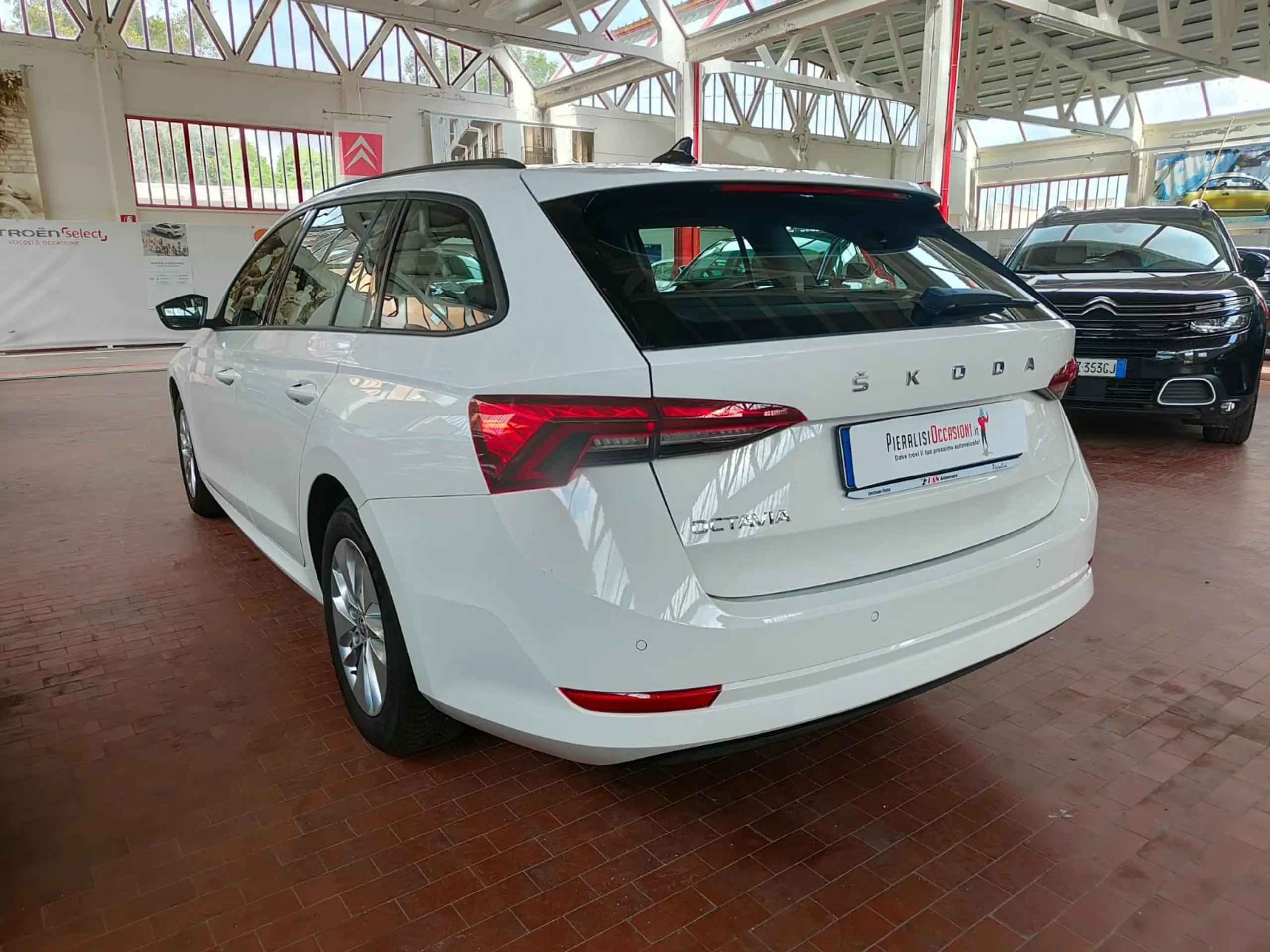 Skoda - Octavia