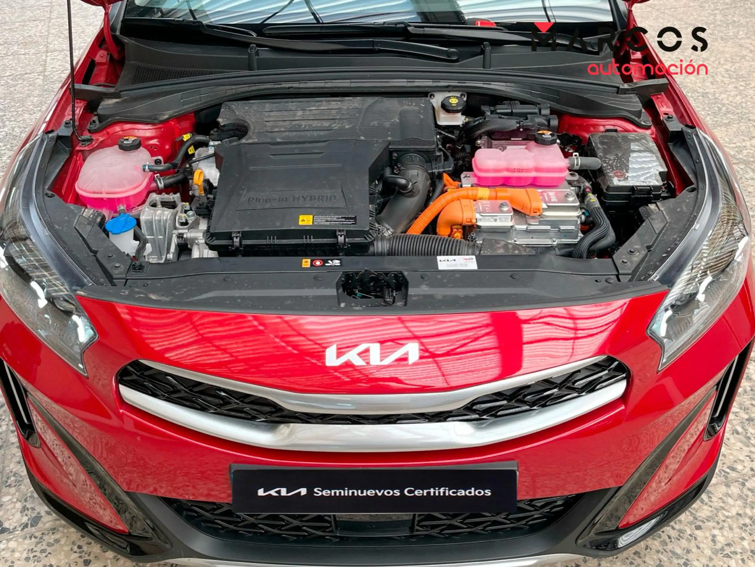 Kia - XCeed