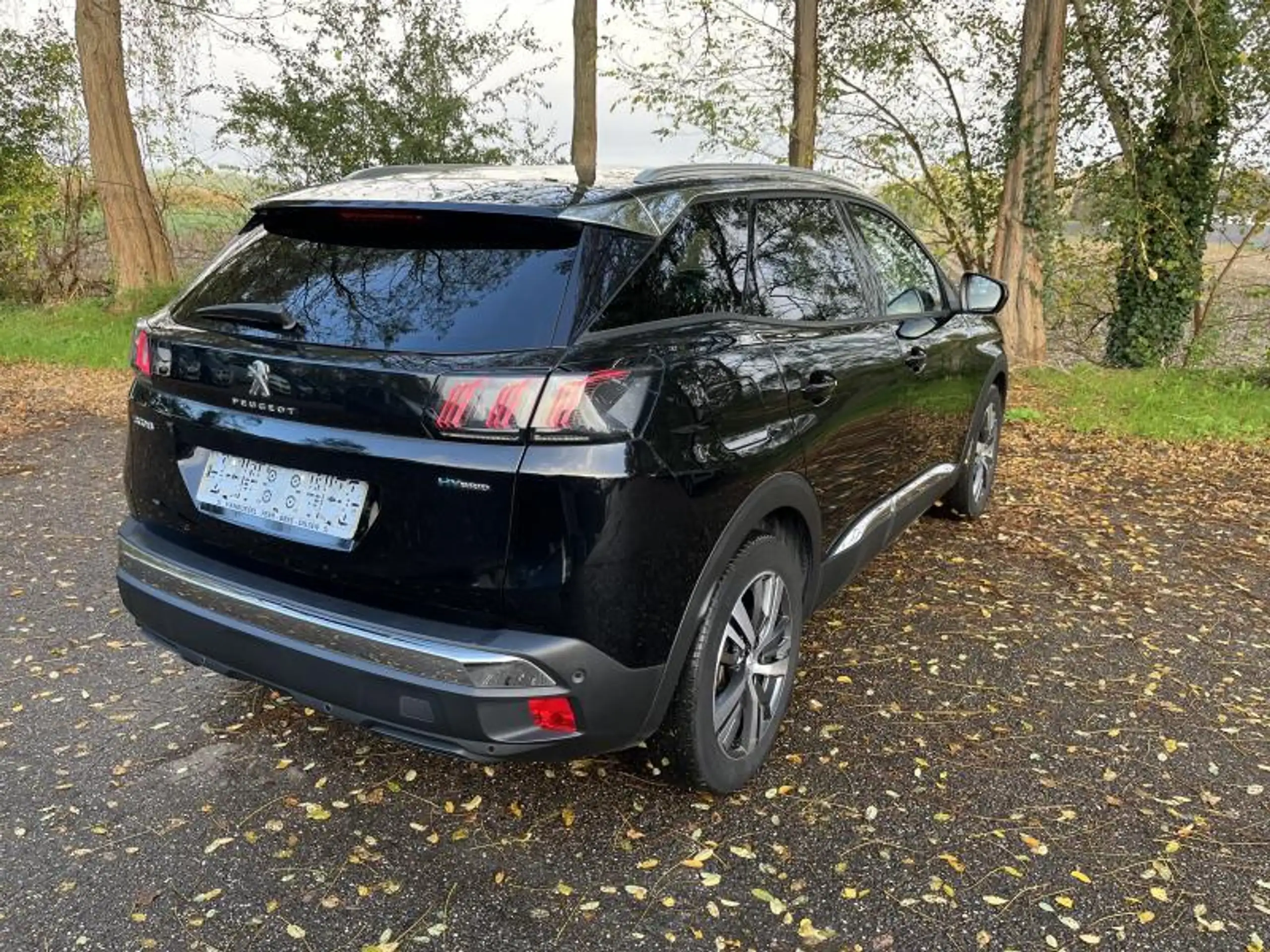 Peugeot - 3008