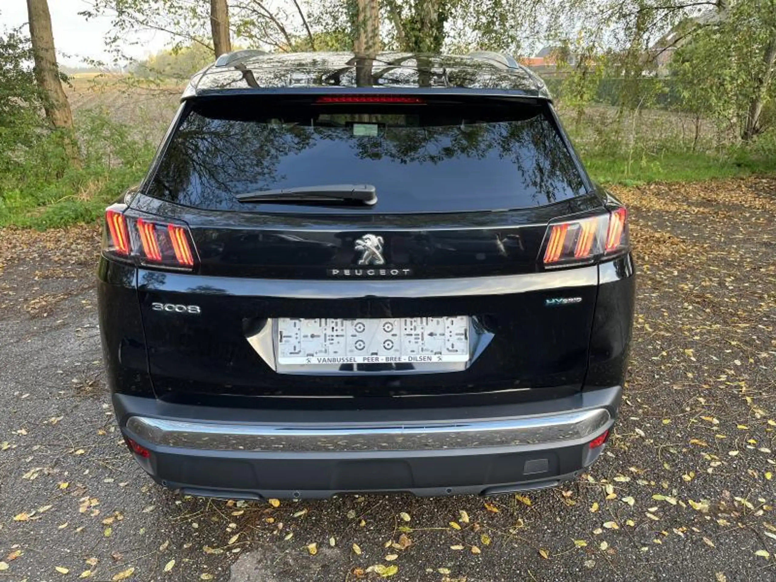 Peugeot - 3008