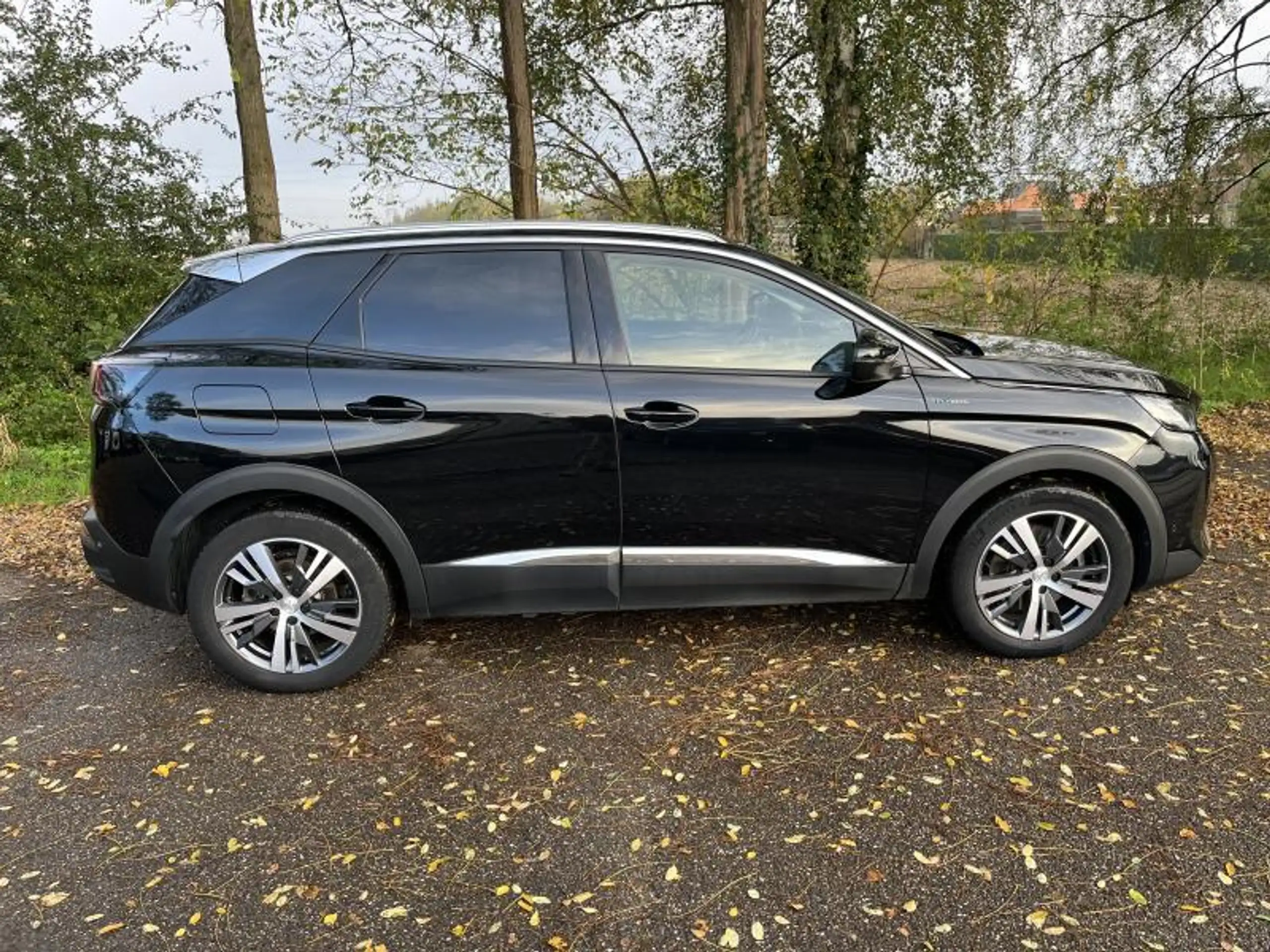 Peugeot - 3008