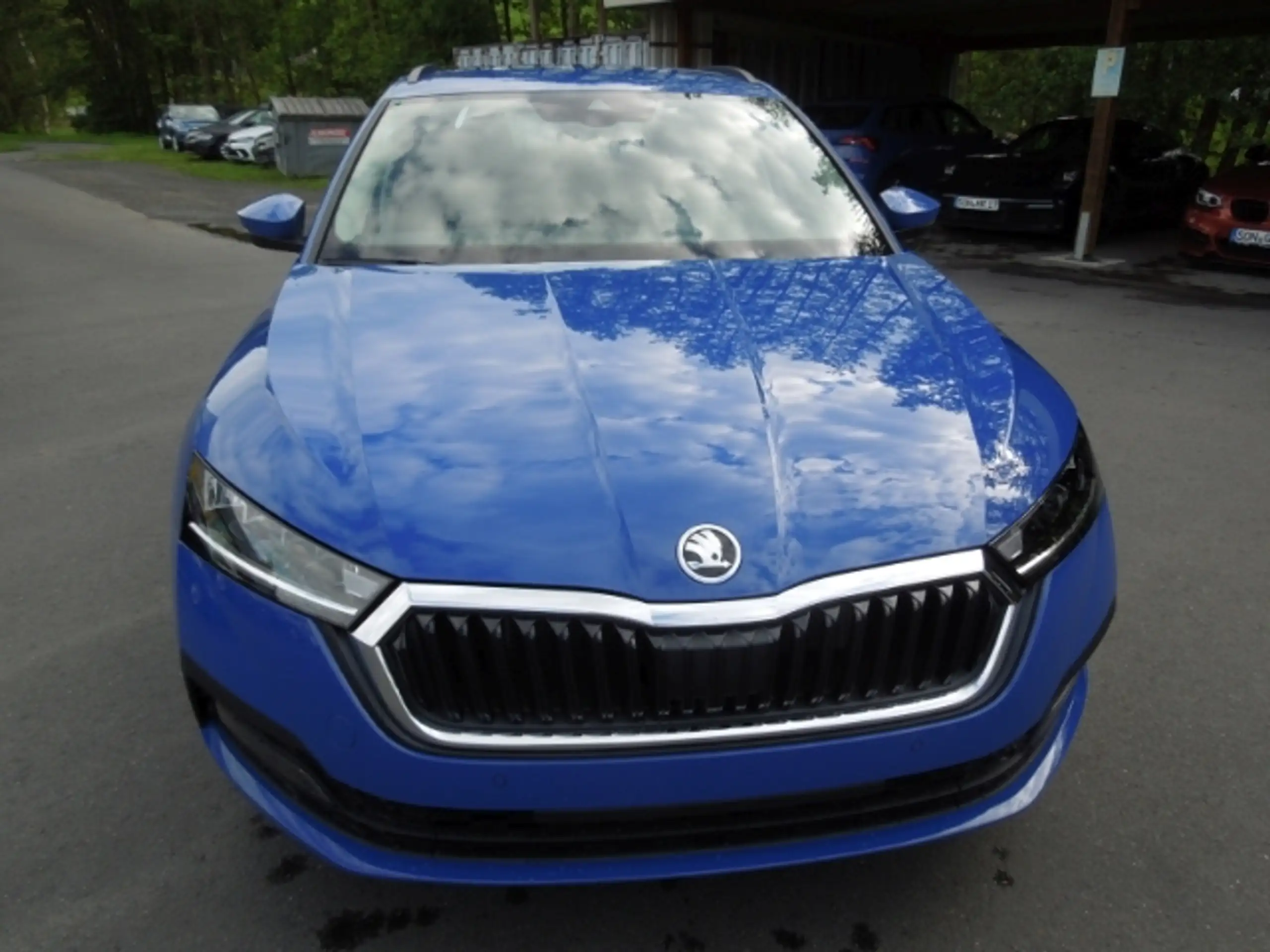 Skoda - Octavia