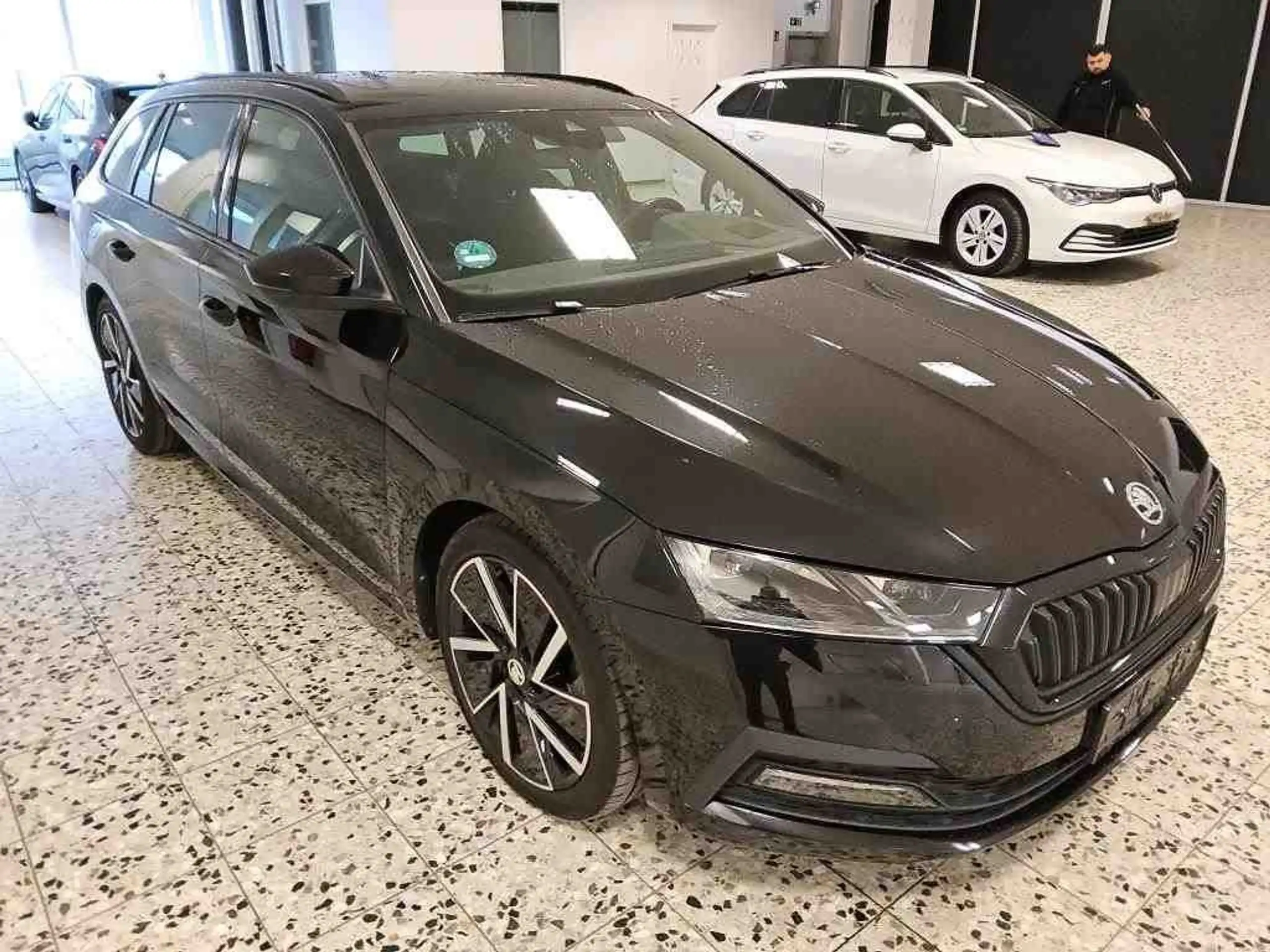 Skoda - Octavia