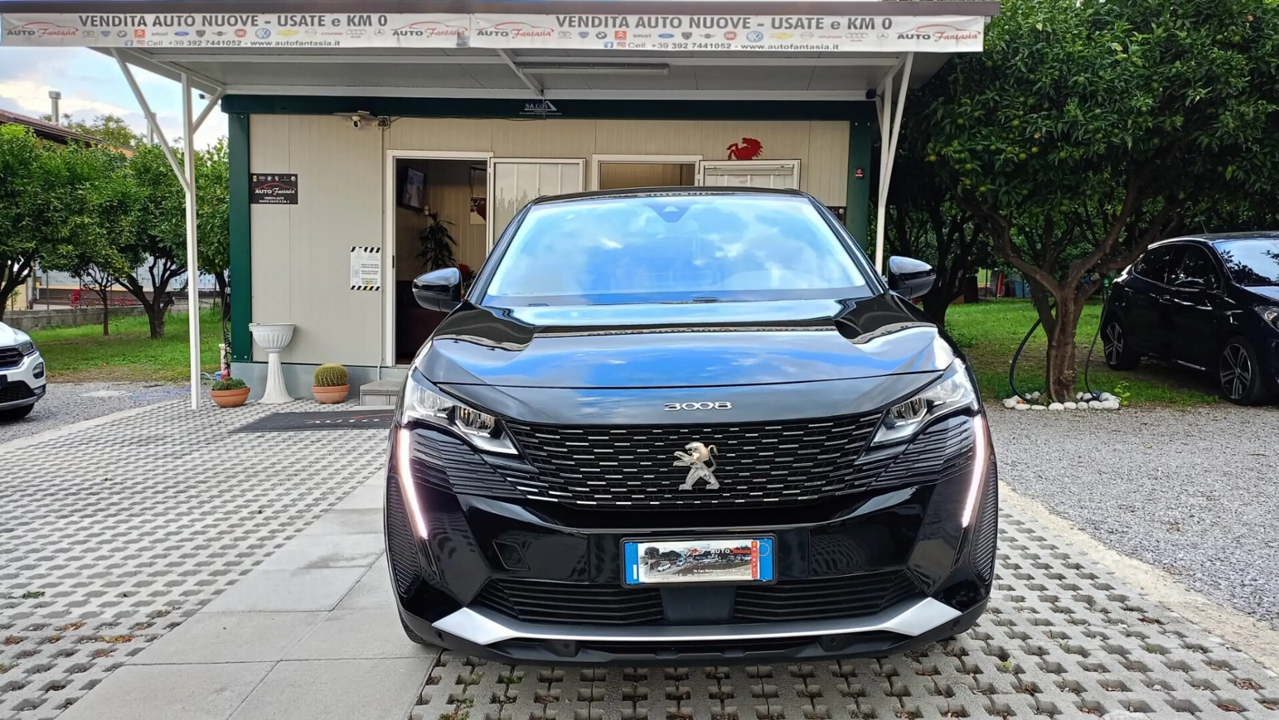 Peugeot - 3008