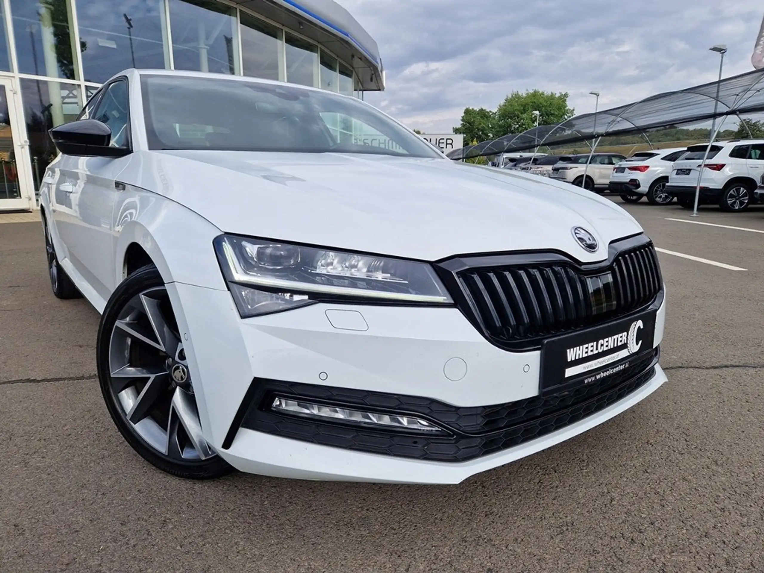 Skoda - Superb