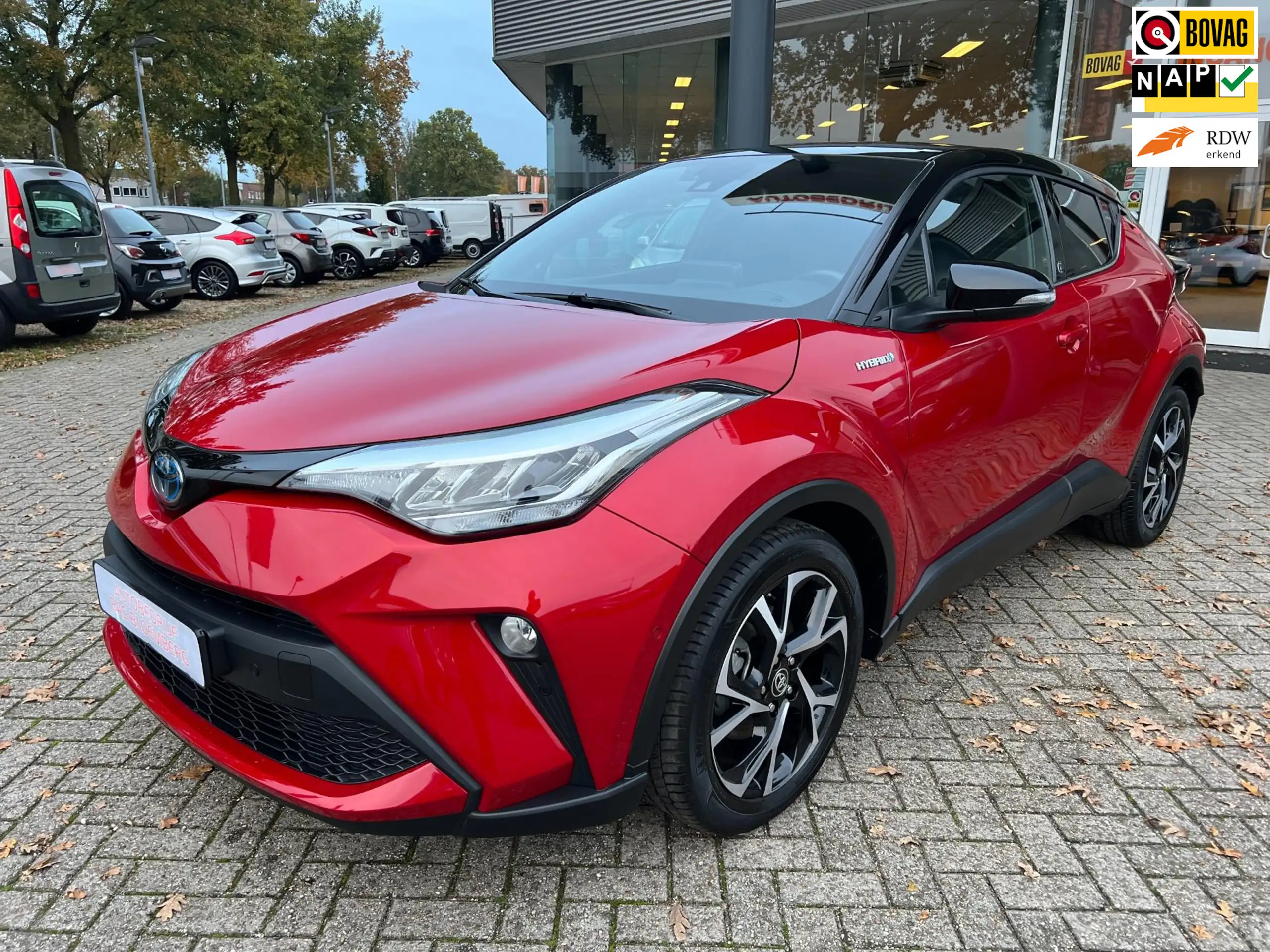 Toyota - C-HR