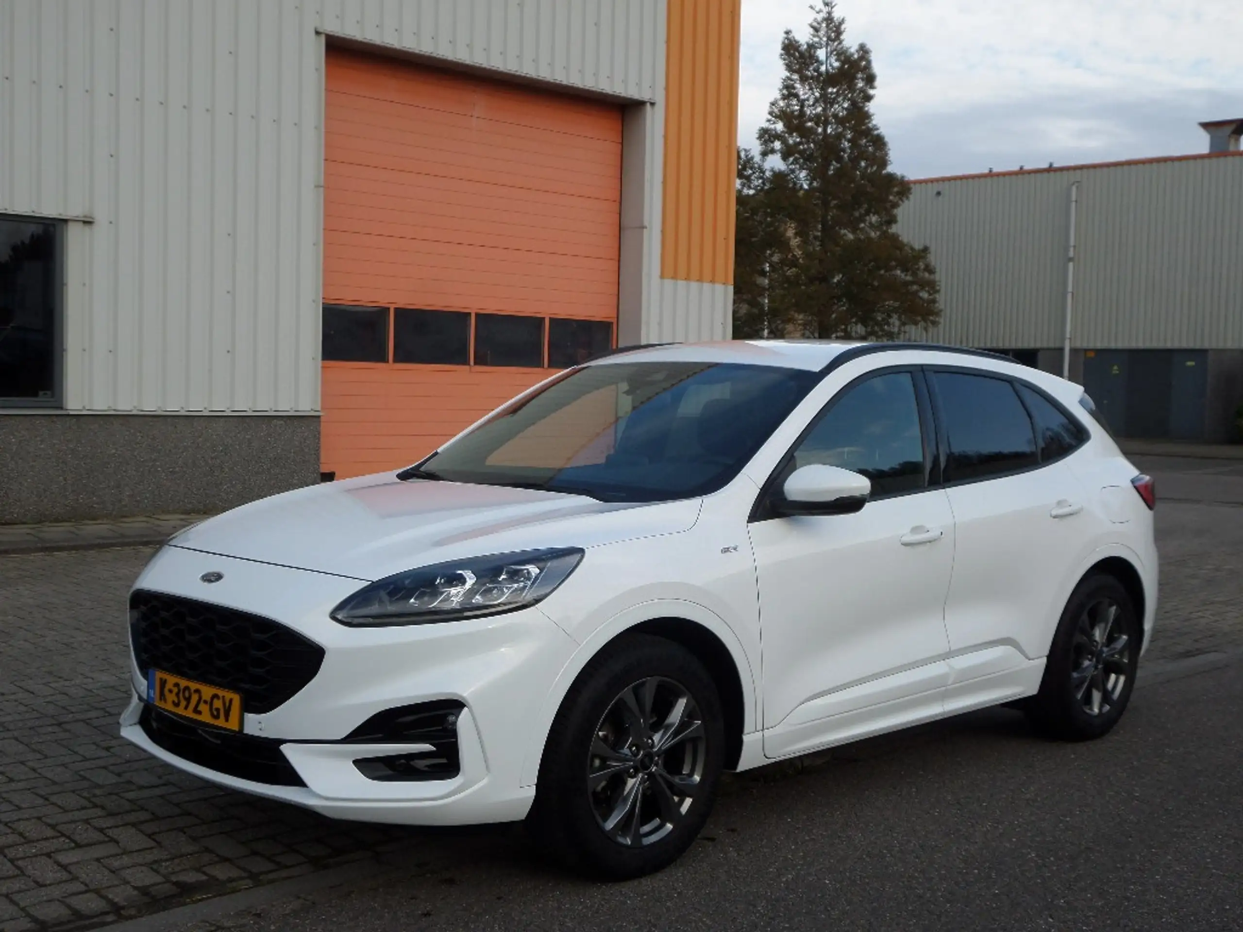 Ford - Kuga