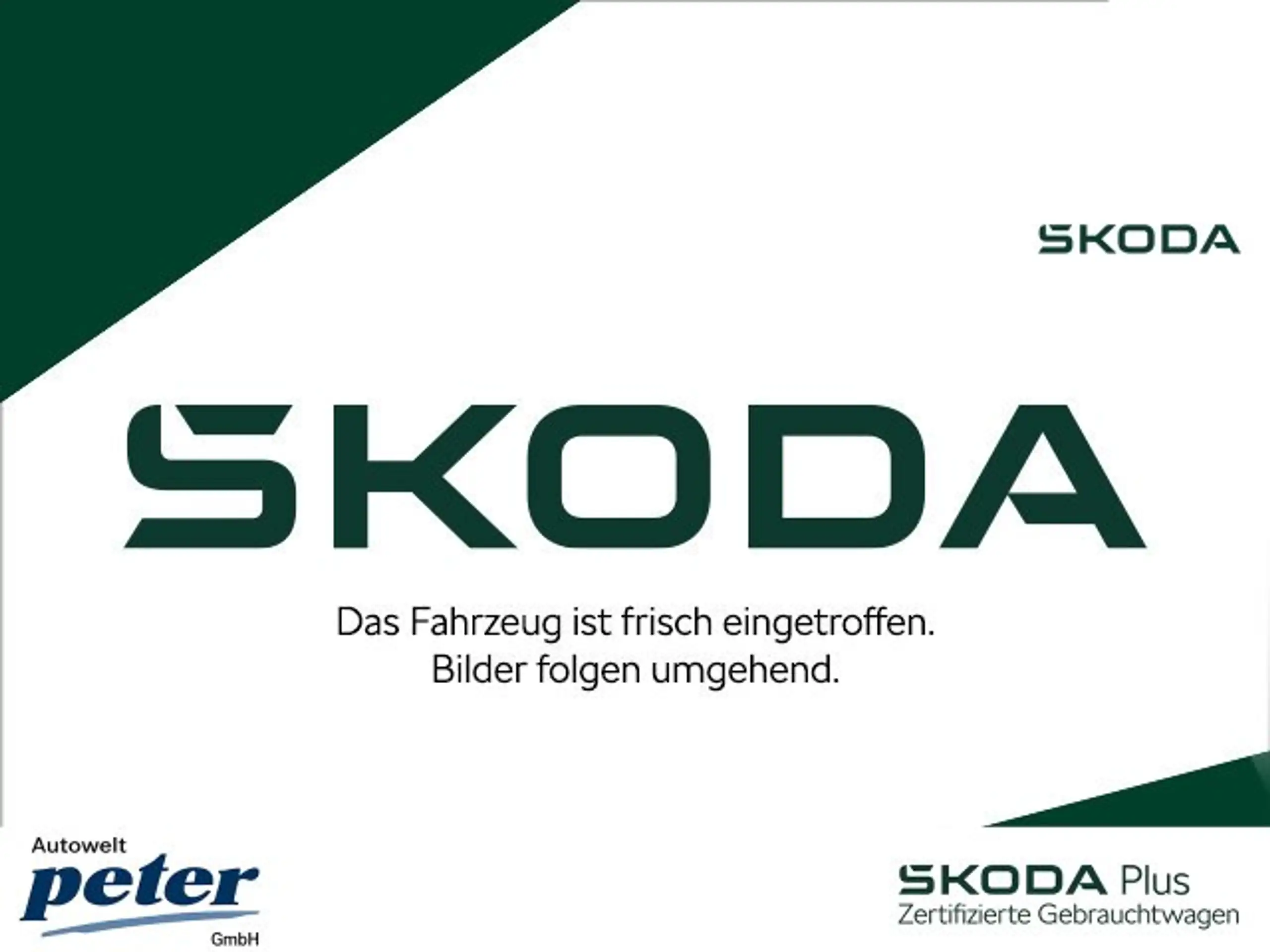 Skoda - Kodiaq