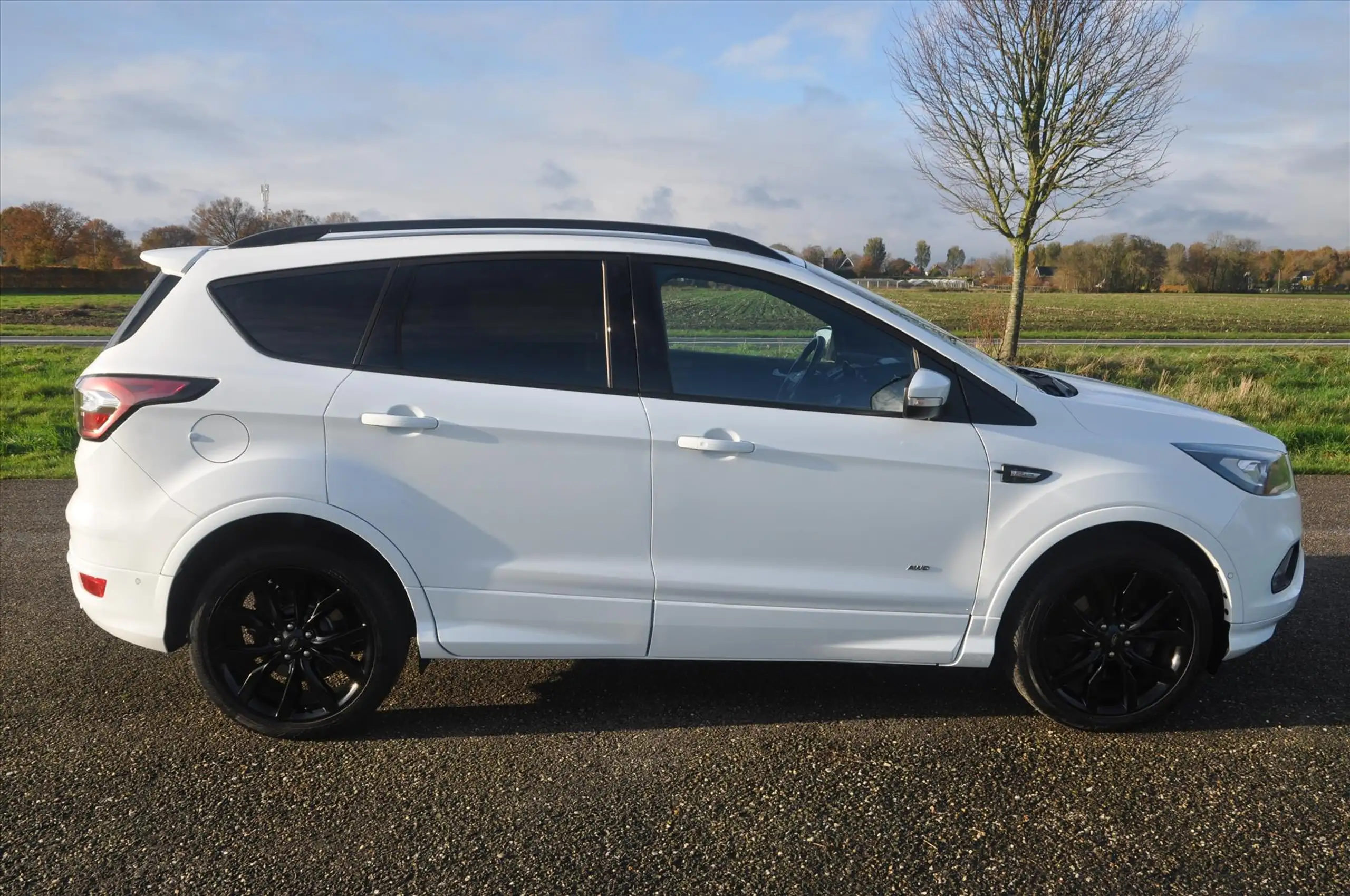 Ford - Kuga