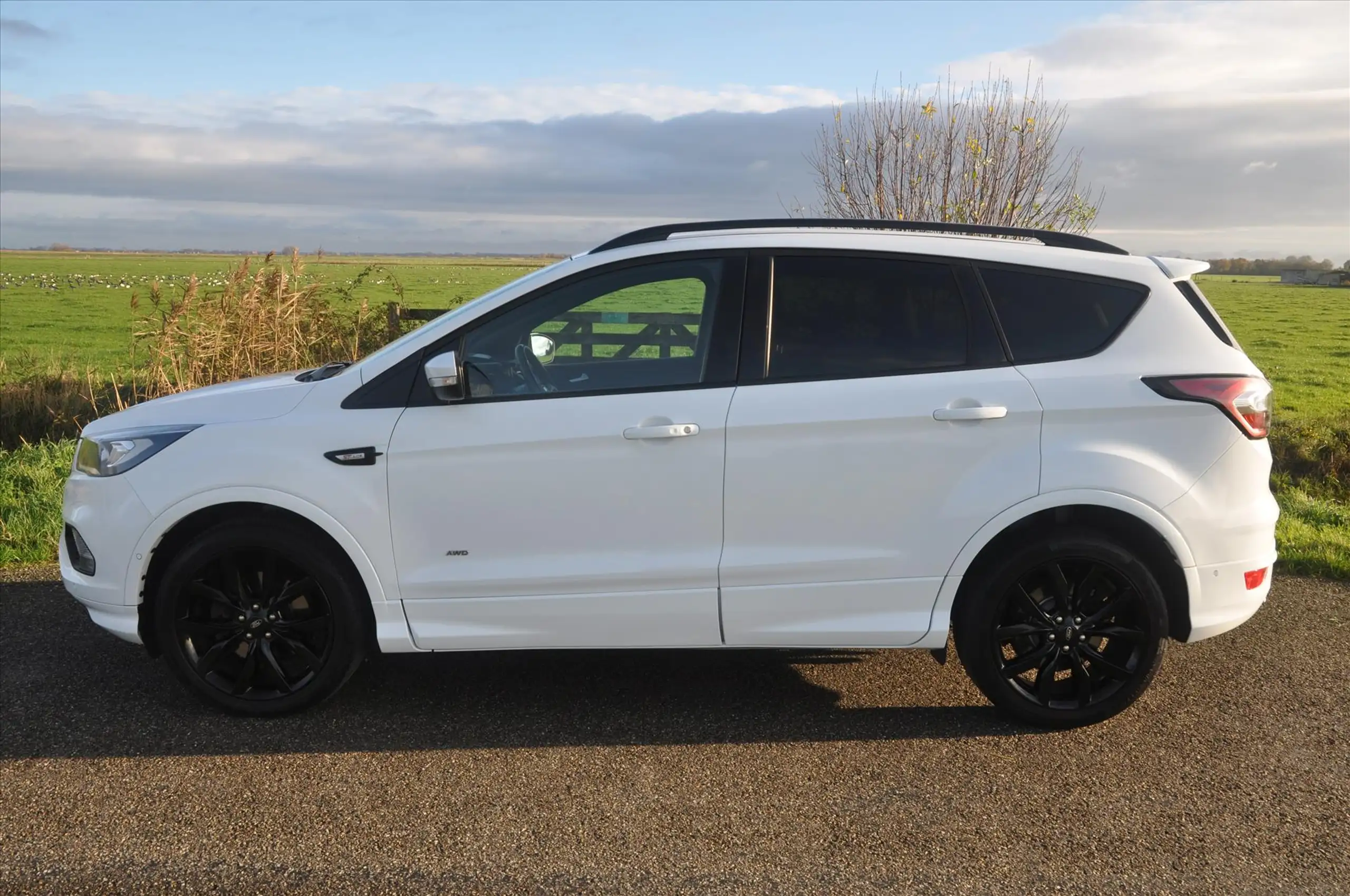 Ford - Kuga