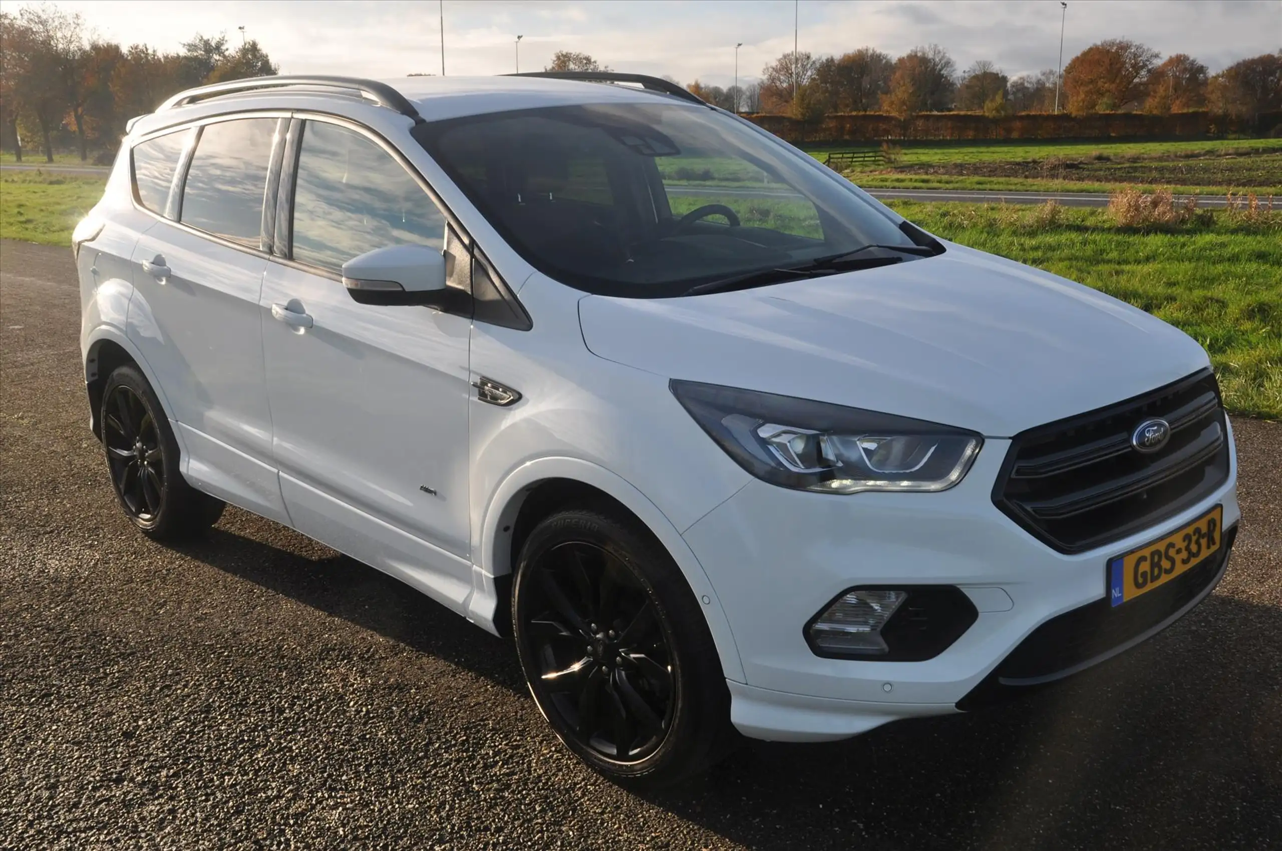 Ford - Kuga