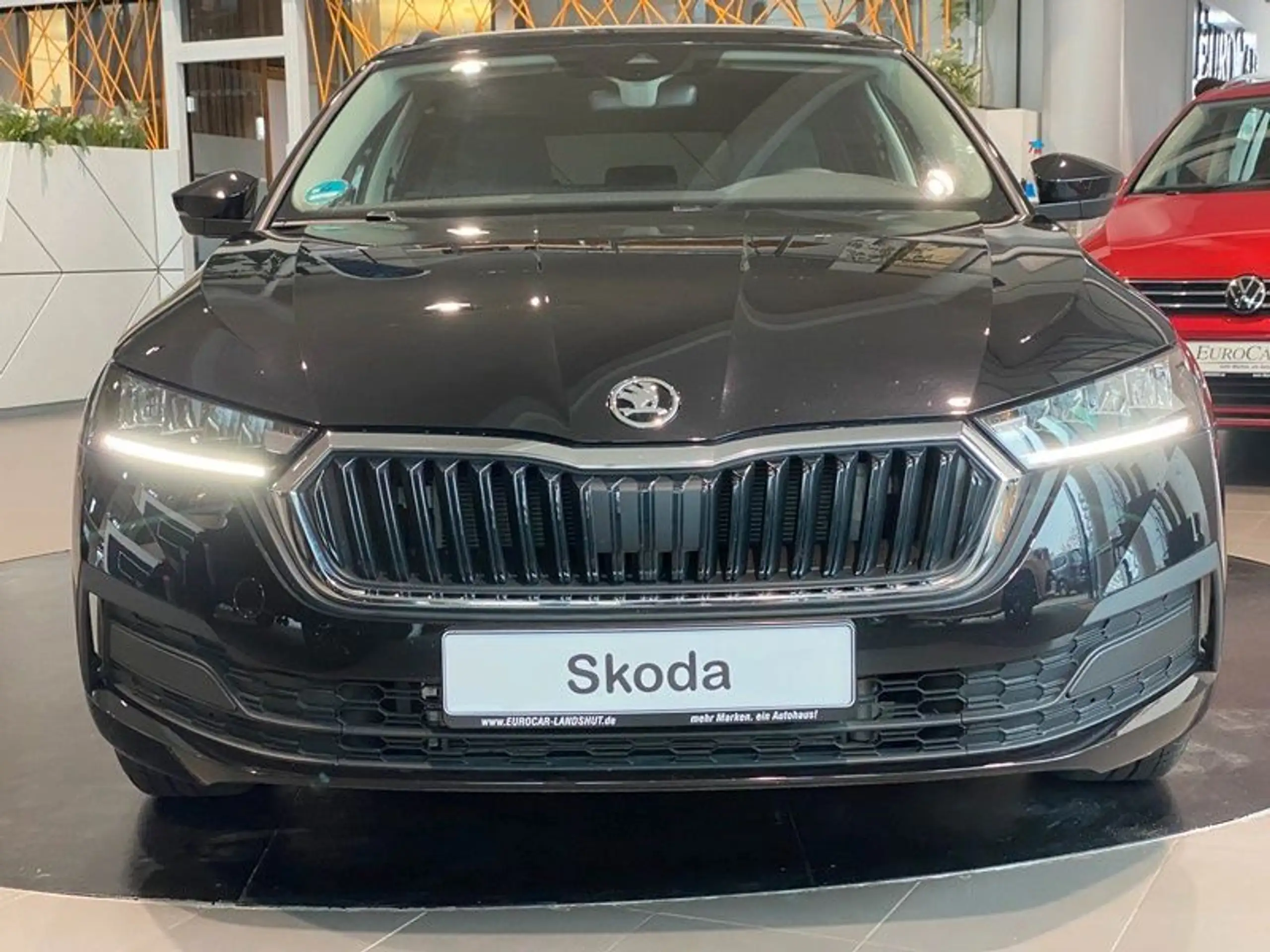 Skoda - Octavia