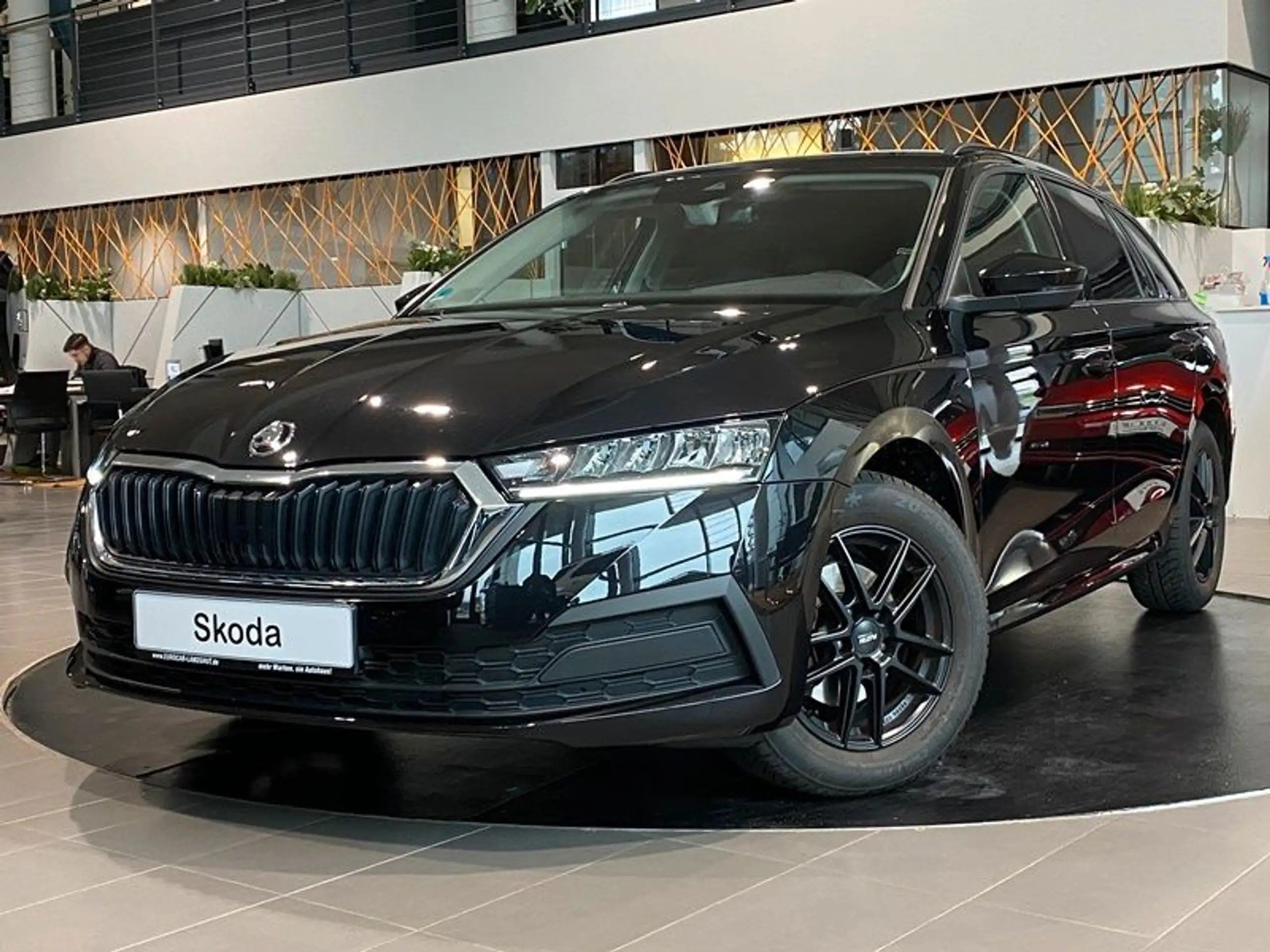 Skoda - Octavia