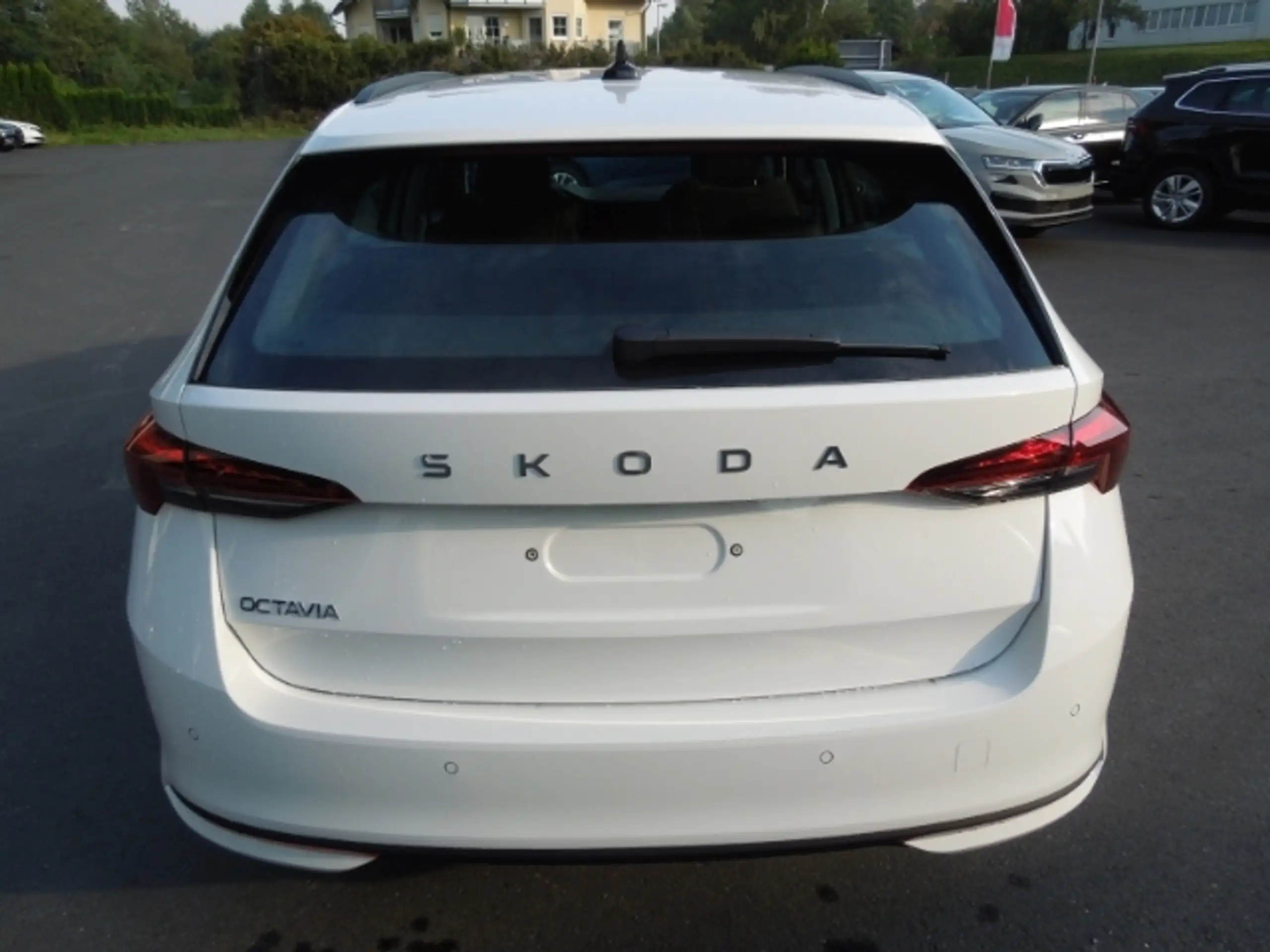 Skoda - Octavia