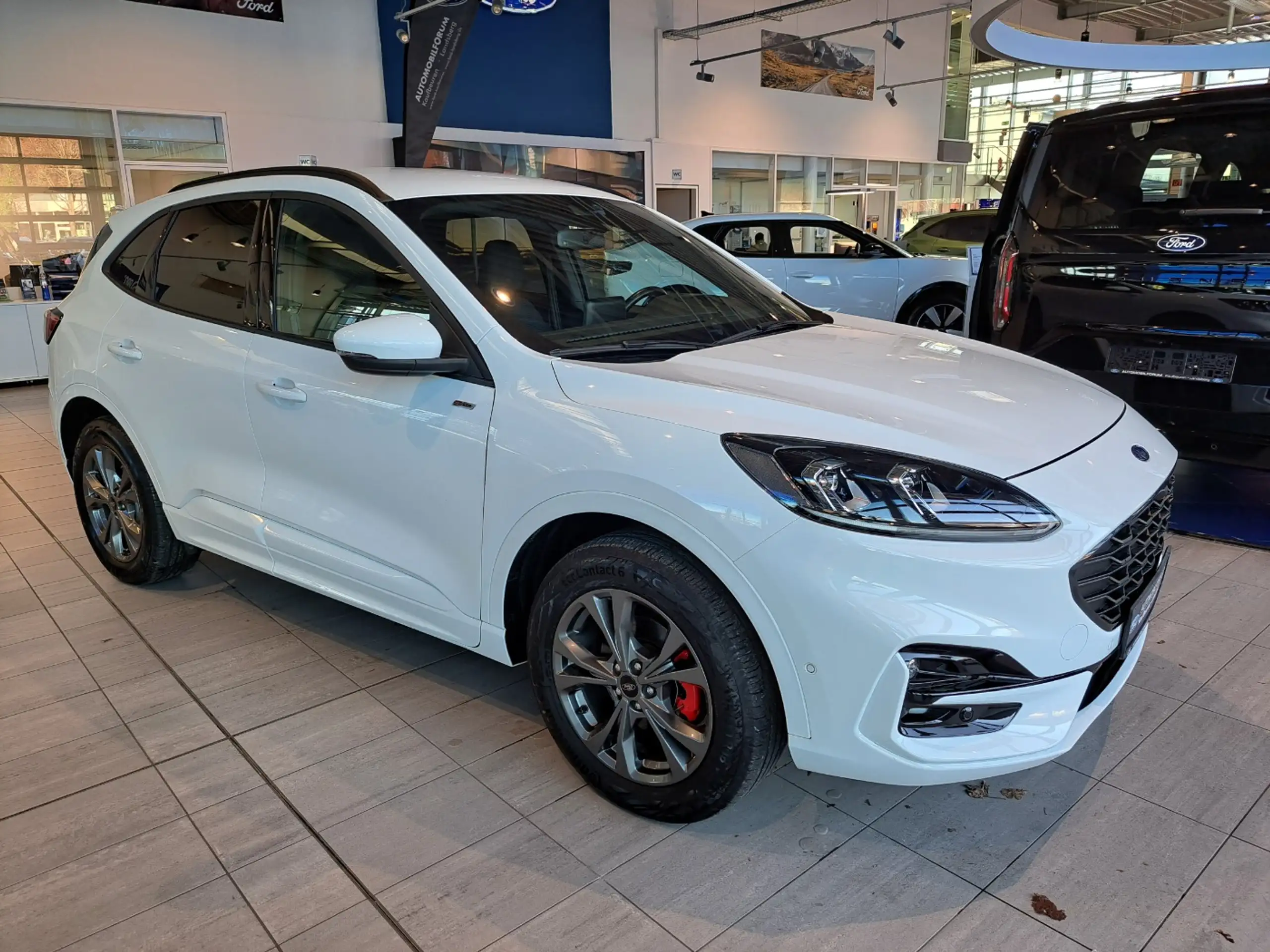 Ford - Kuga