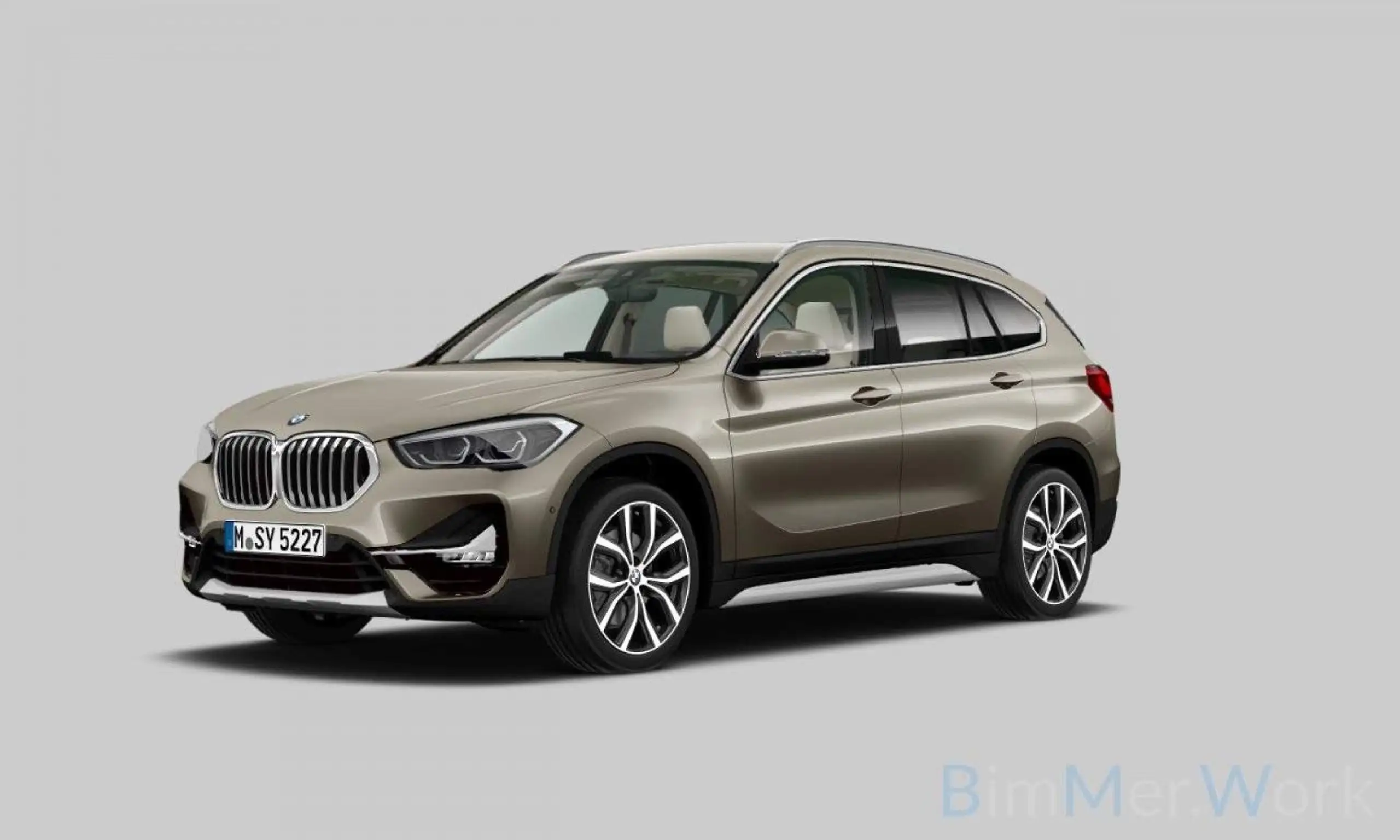 BMW - X1