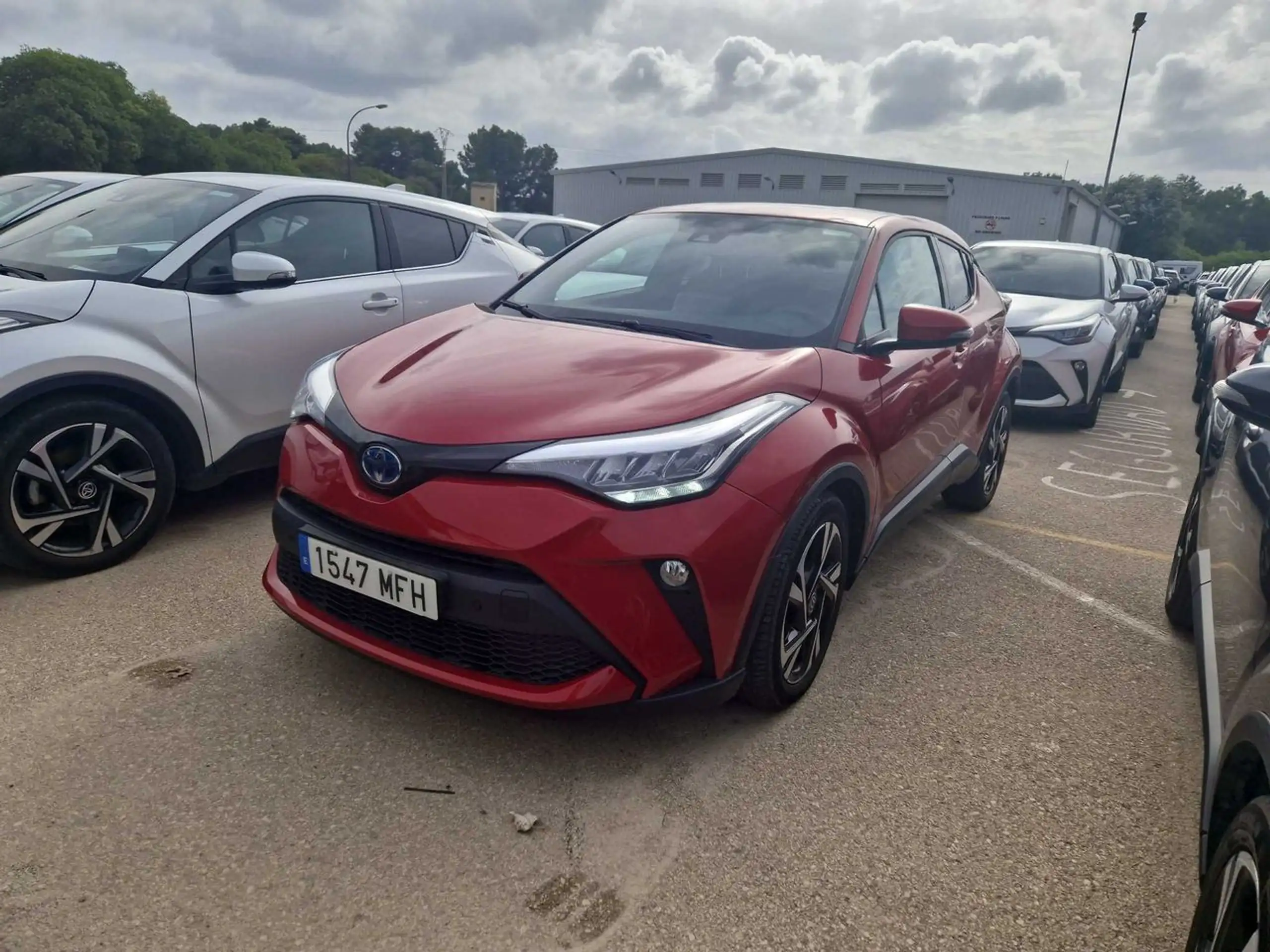 Toyota - C-HR