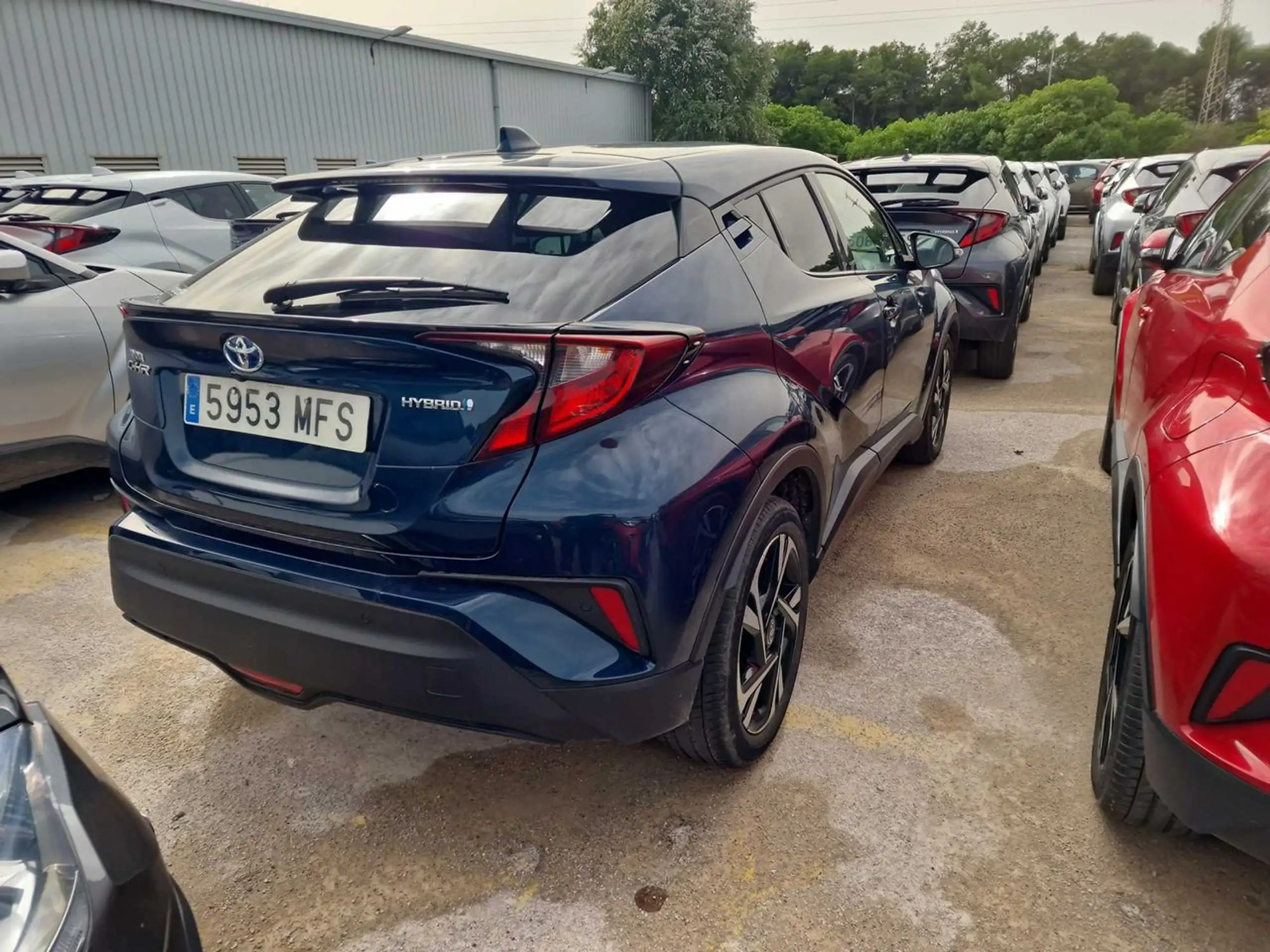 Toyota - C-HR