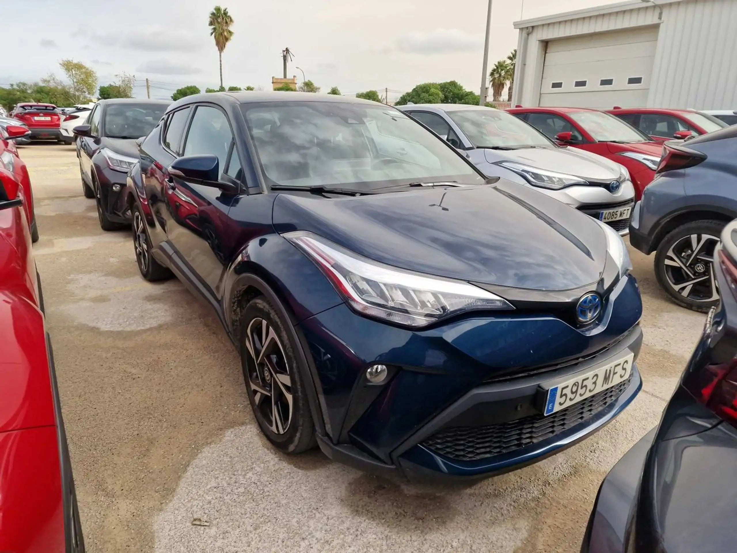 Toyota - C-HR