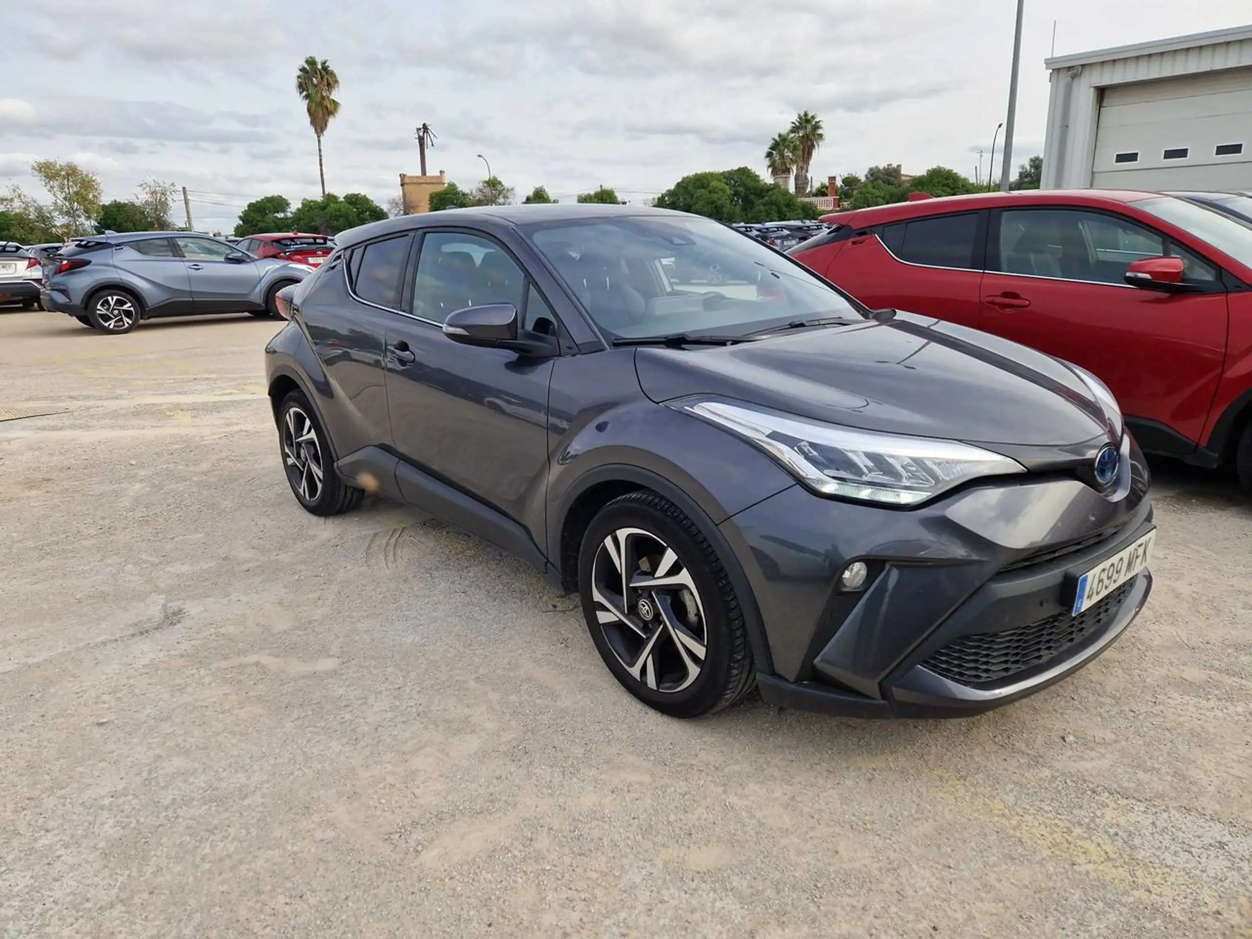 Toyota - C-HR