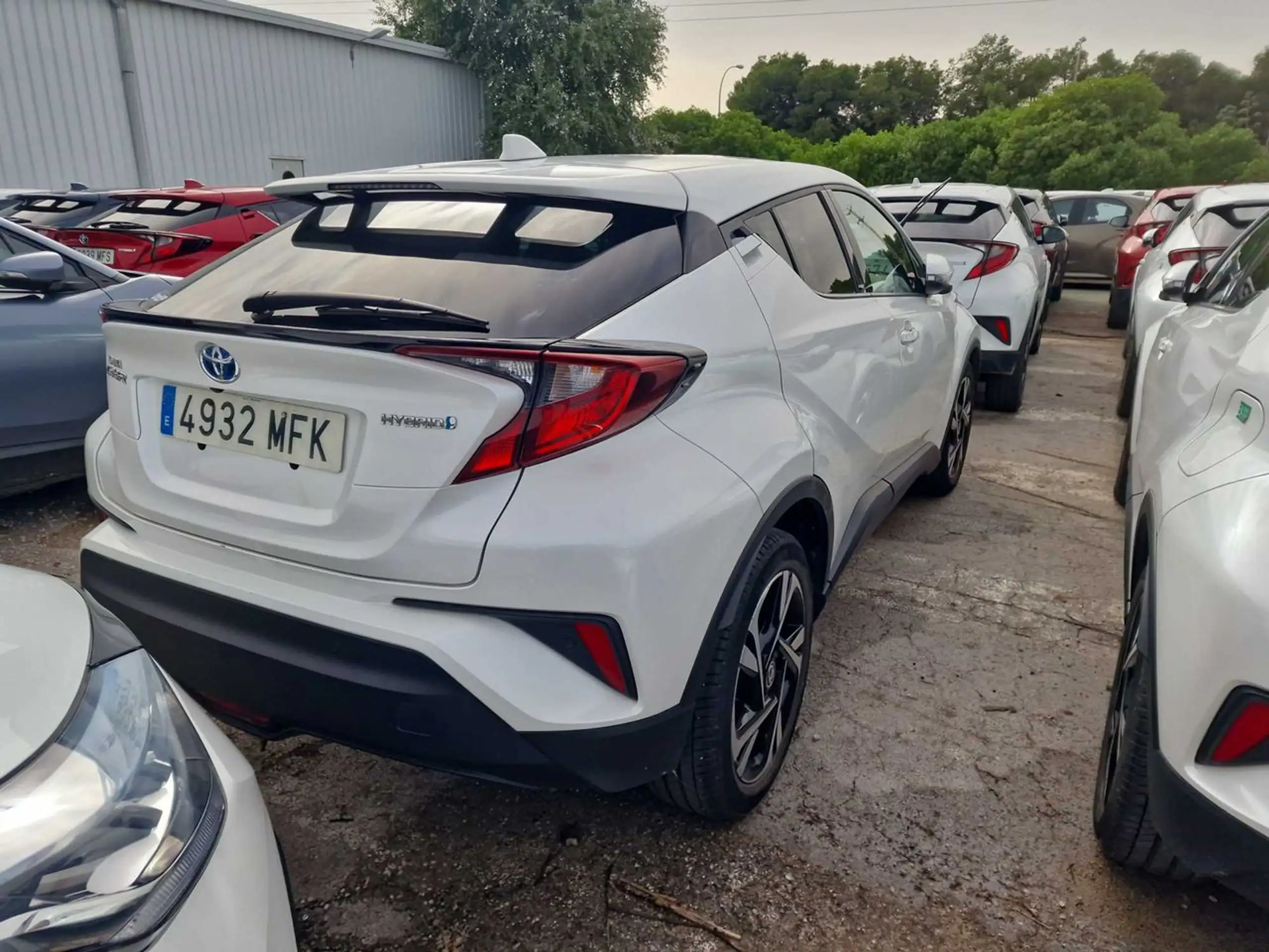 Toyota - C-HR