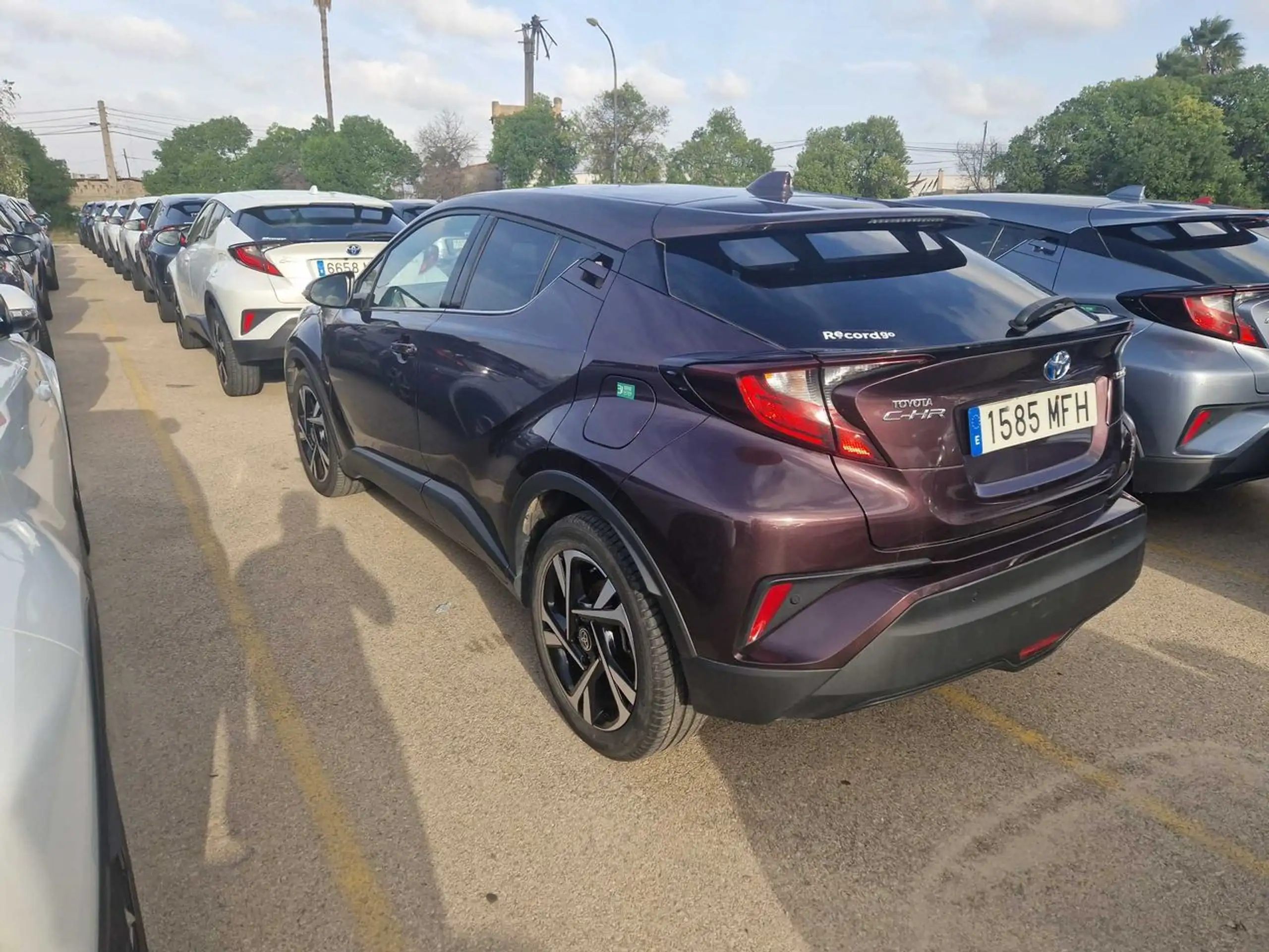 Toyota - C-HR