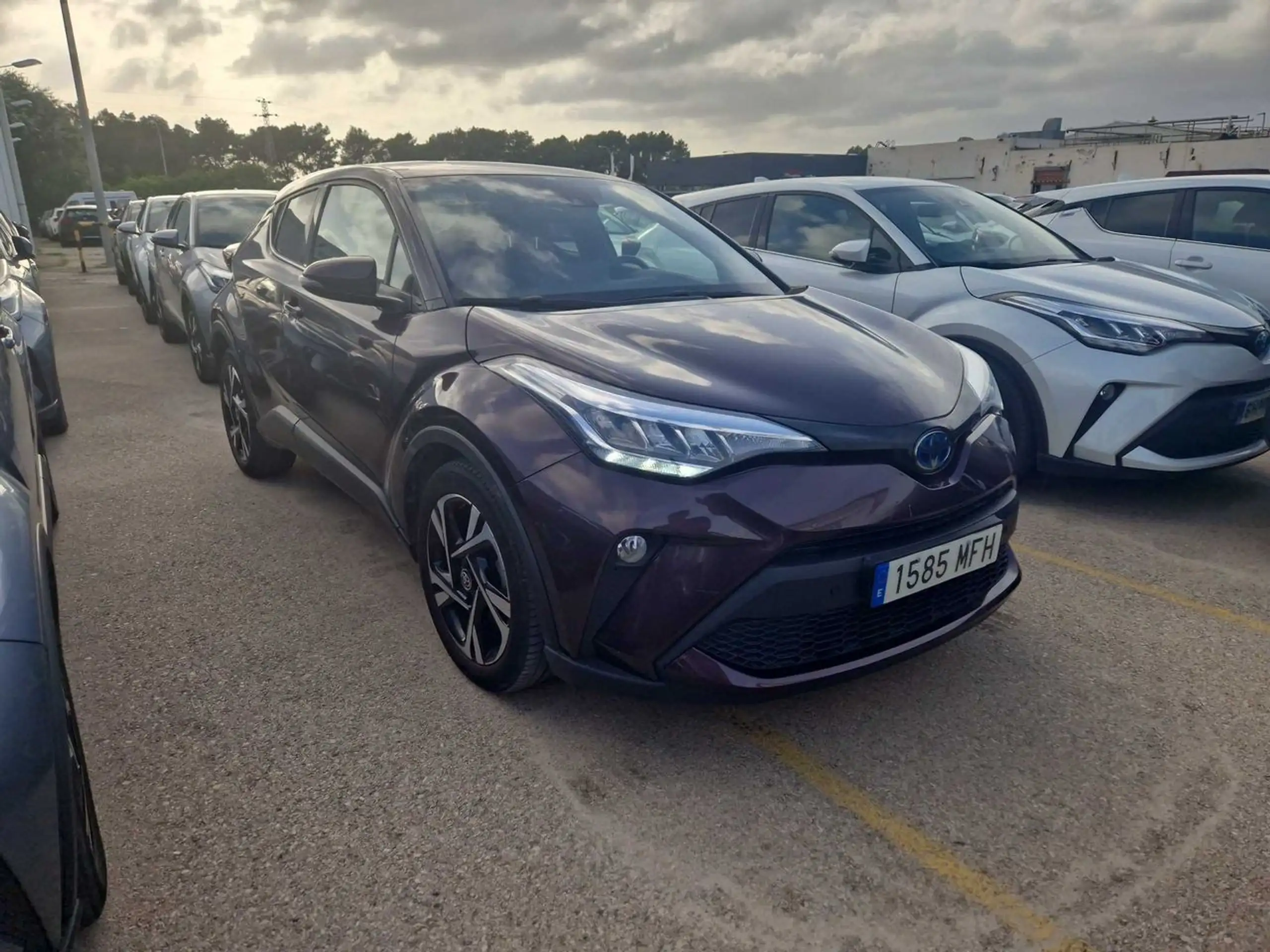 Toyota - C-HR