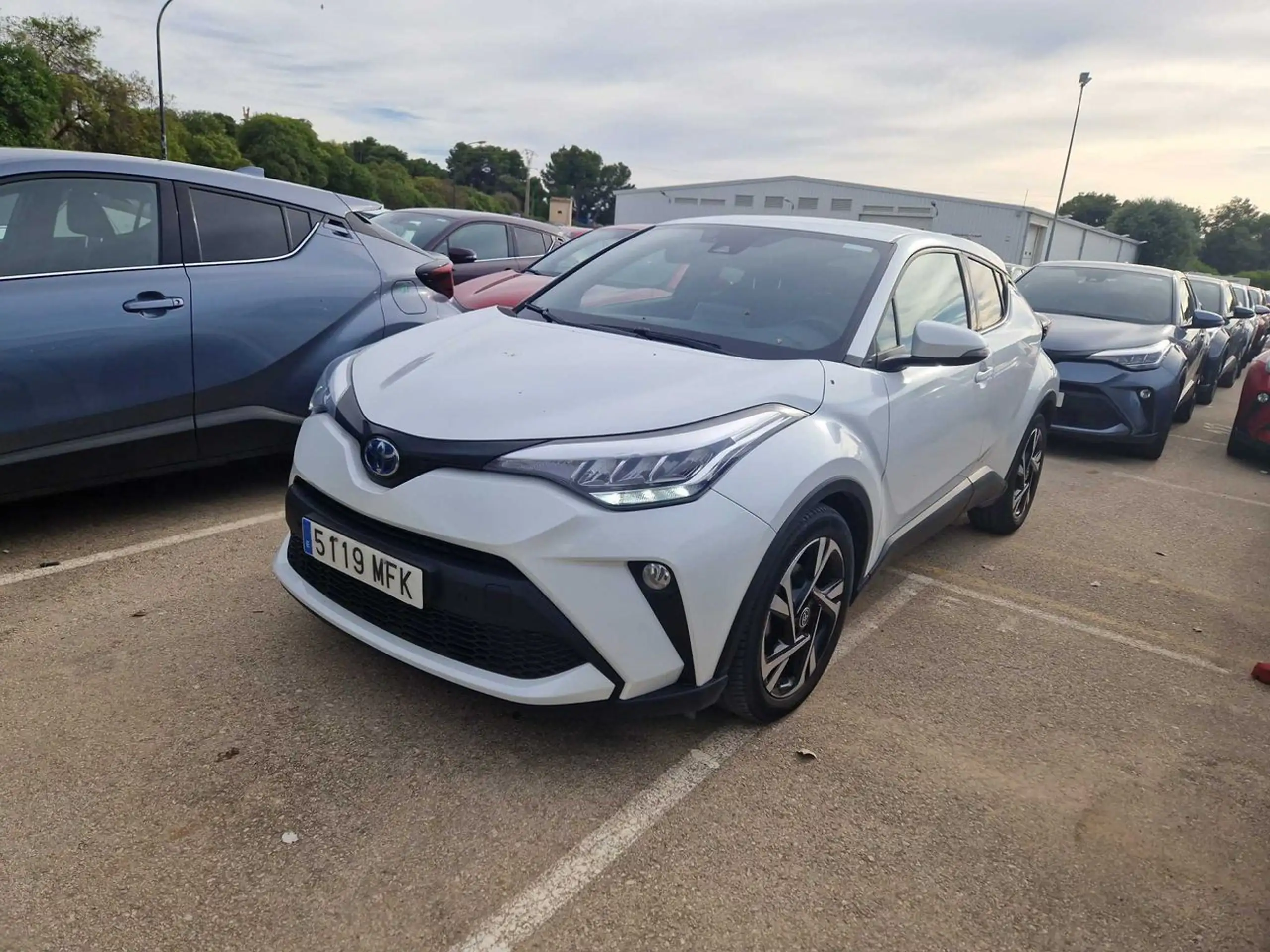 Toyota - C-HR