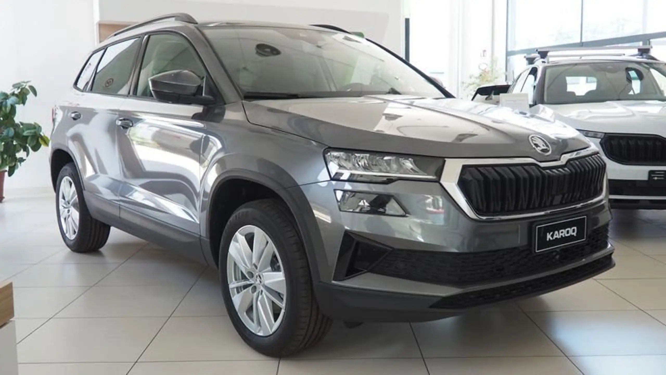 Skoda - Karoq