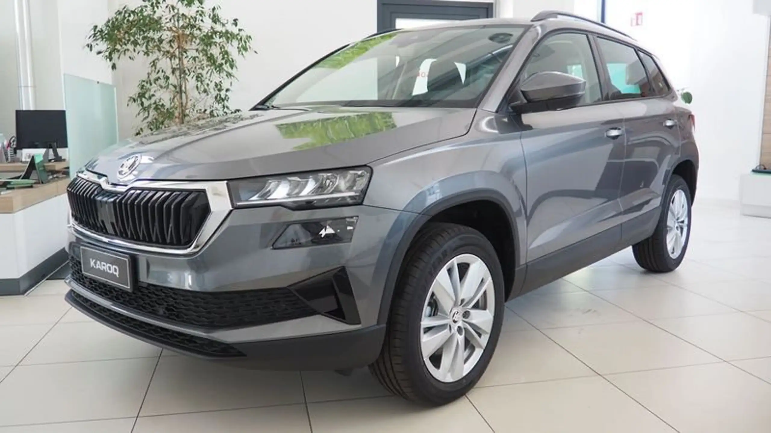 Skoda - Karoq