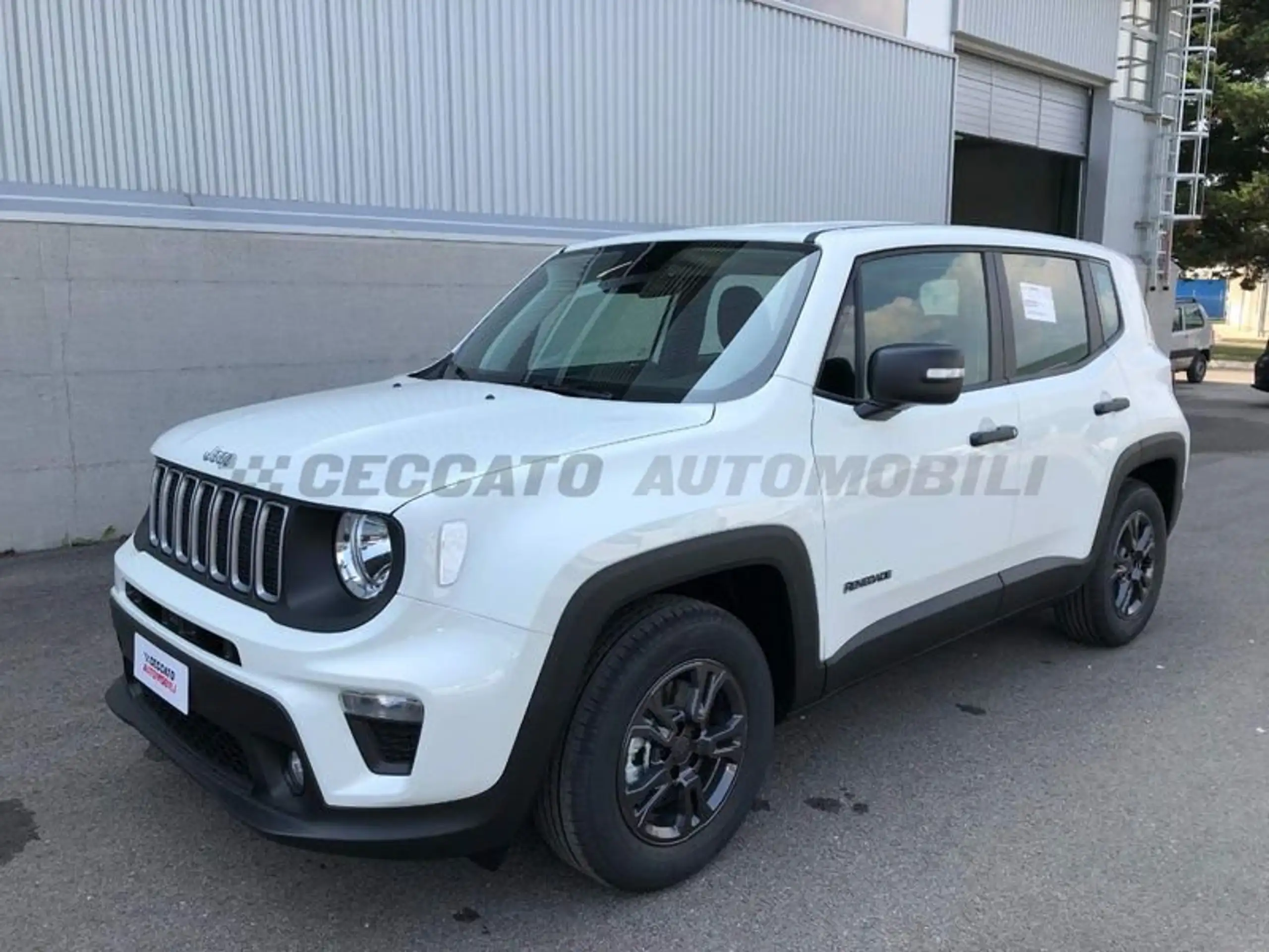 Jeep Renegade 2024