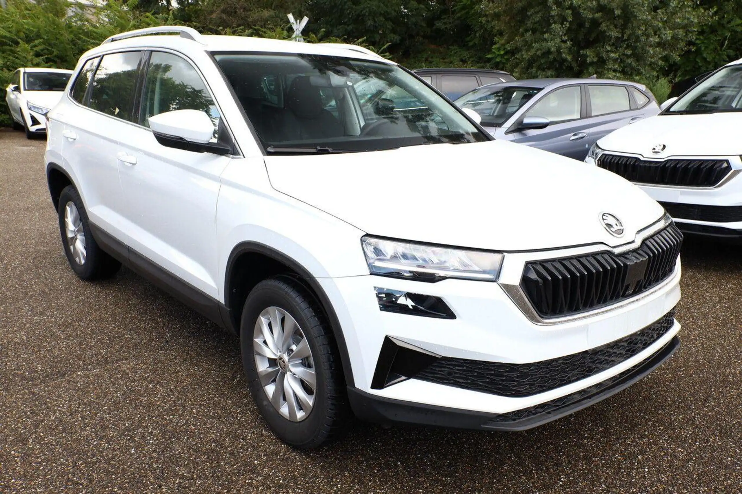 Skoda - Karoq