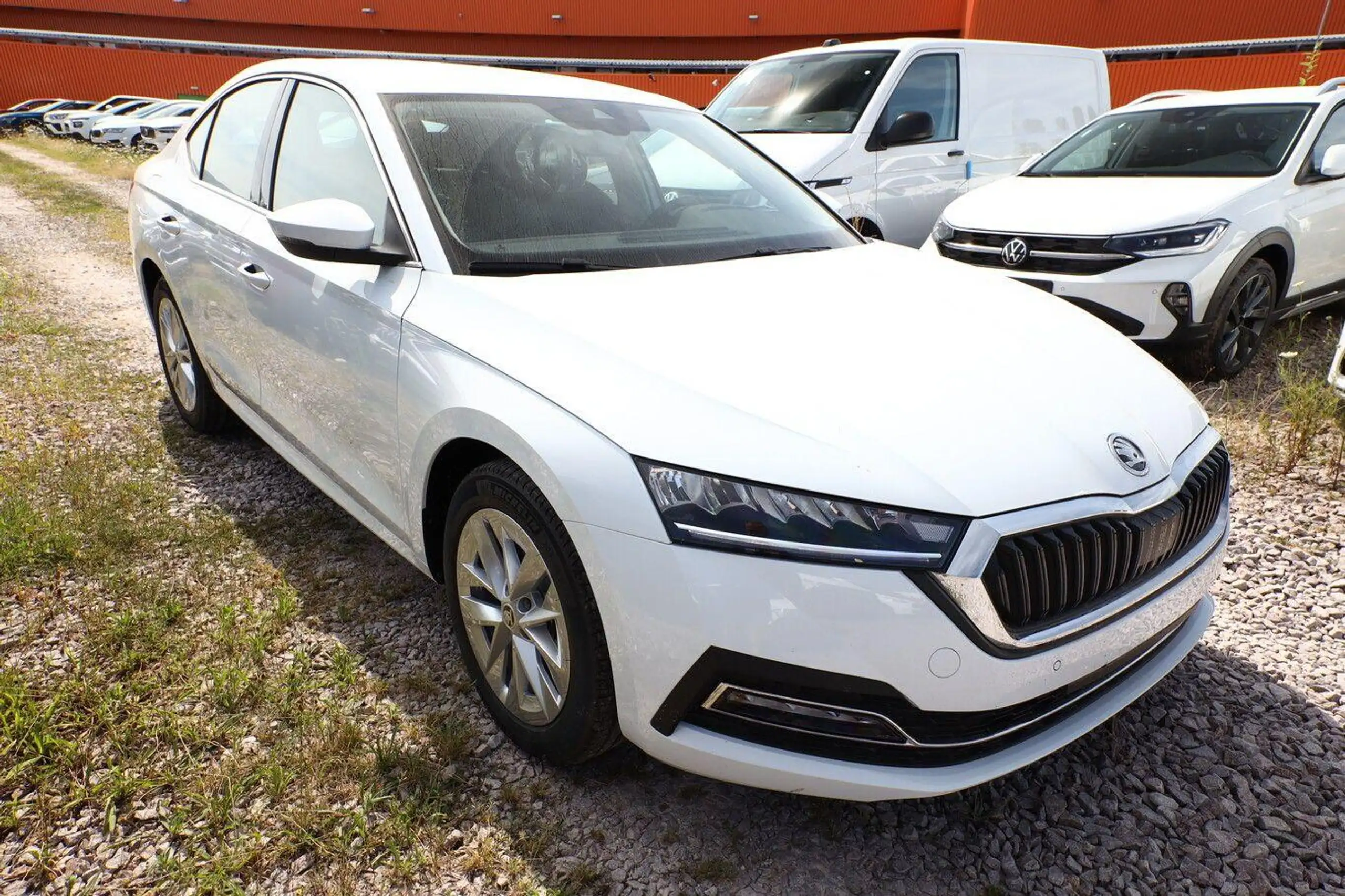 Skoda - Octavia