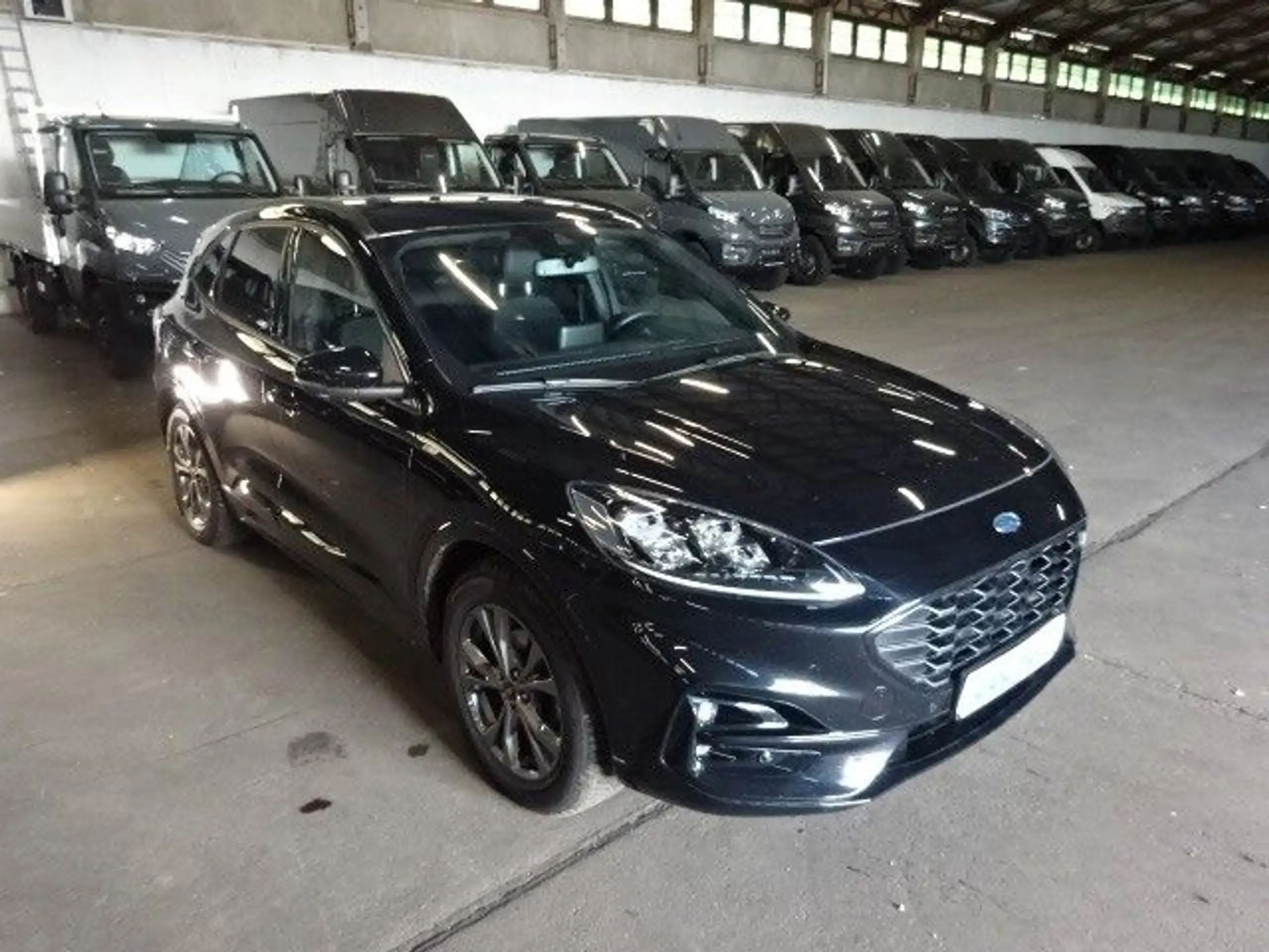 Ford - Kuga