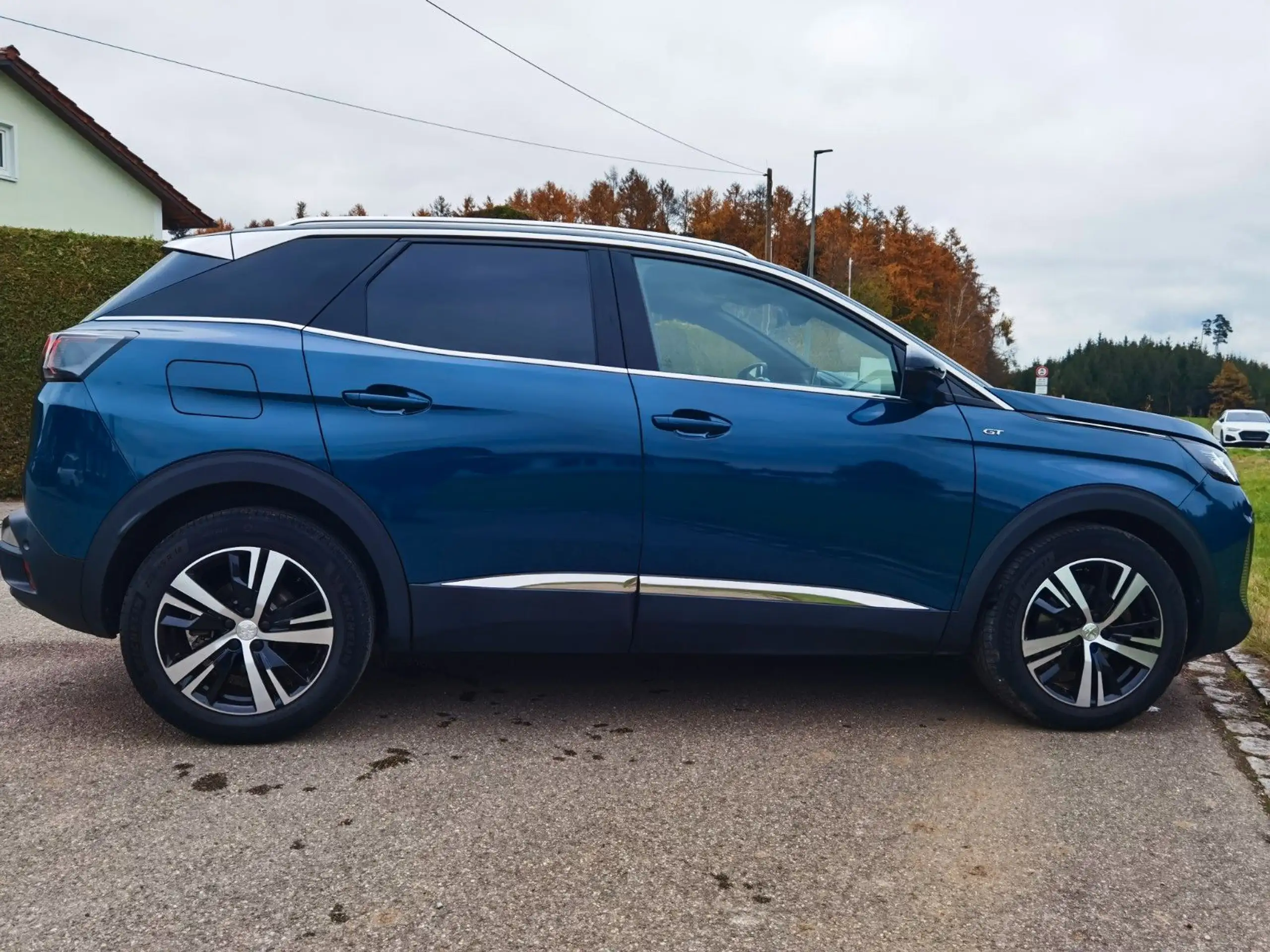 Peugeot - 3008