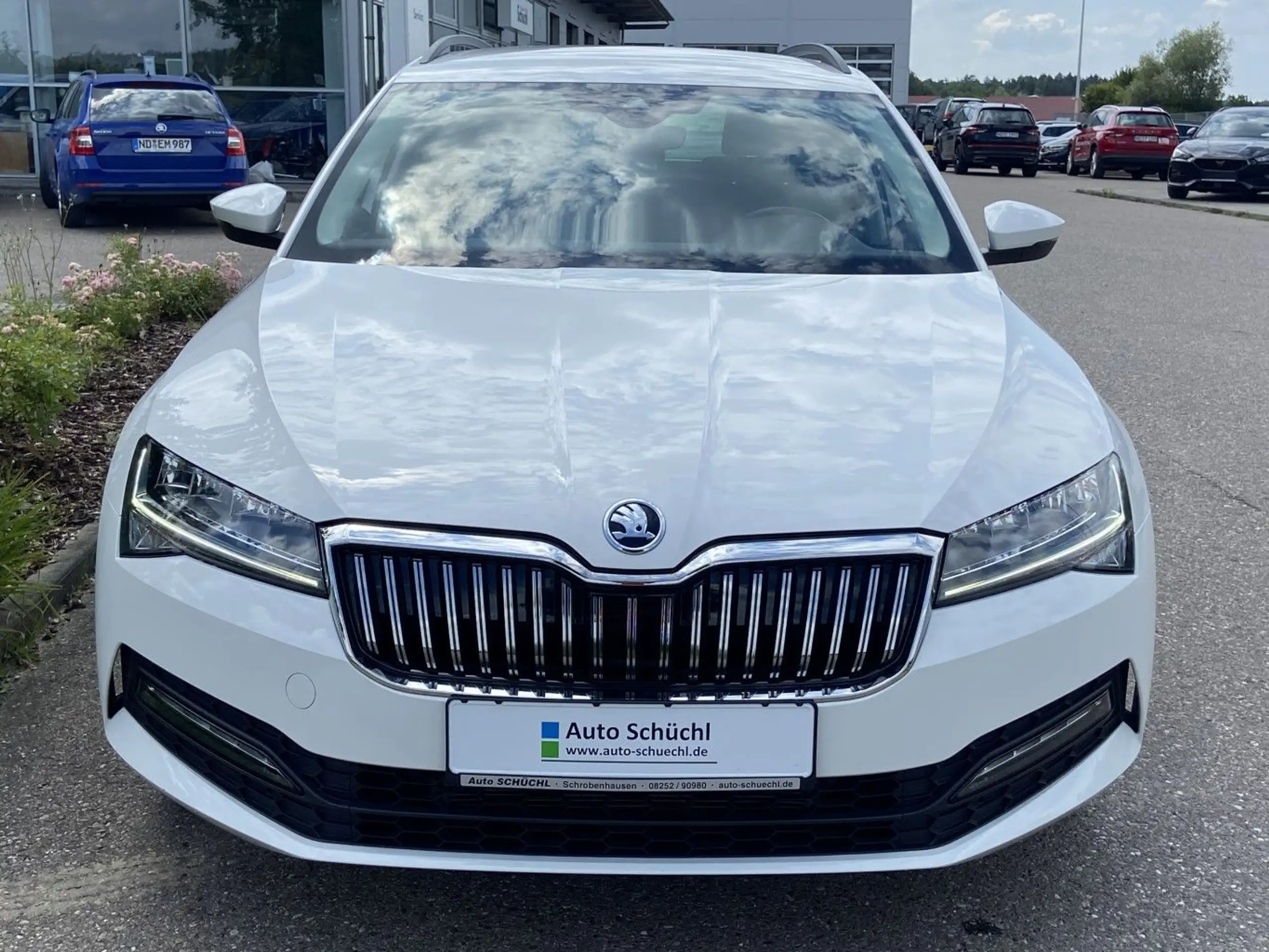 Skoda - Superb