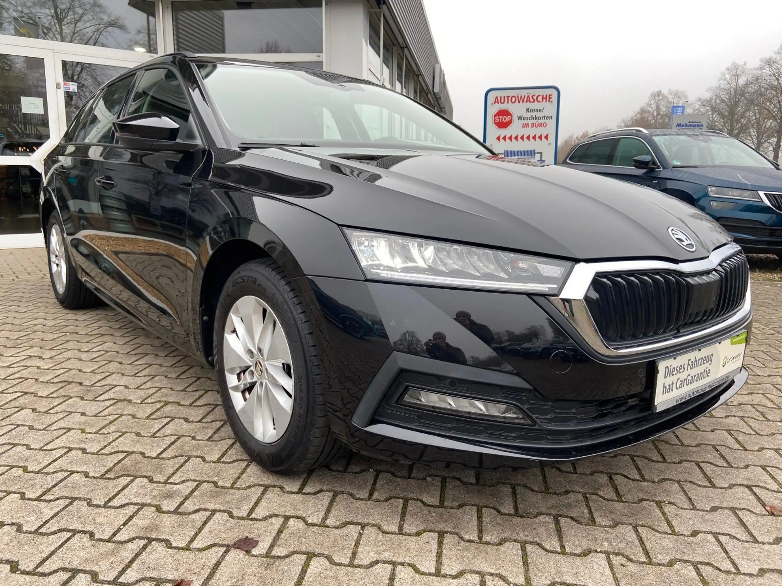 Skoda - Octavia