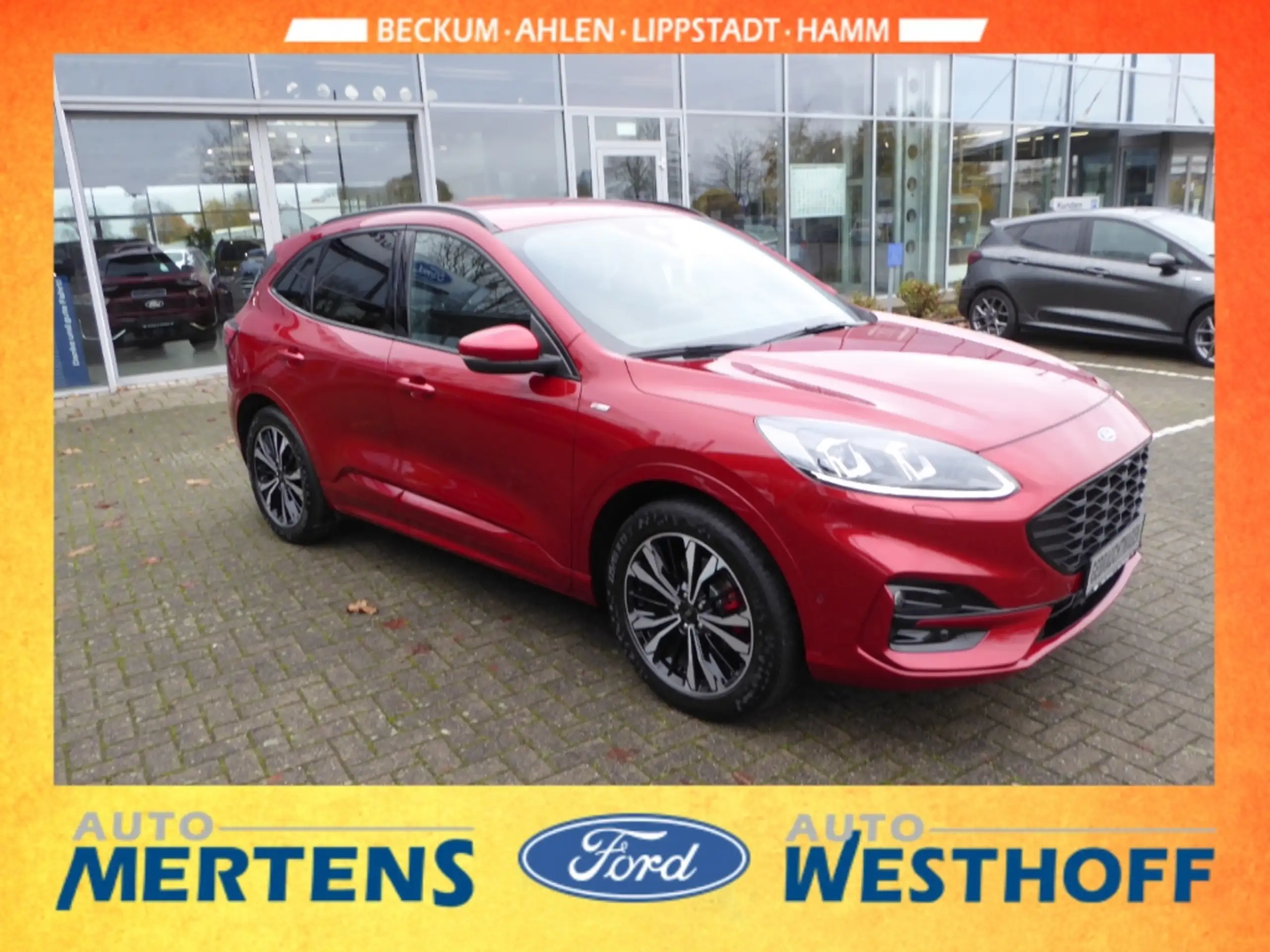 Ford - Kuga