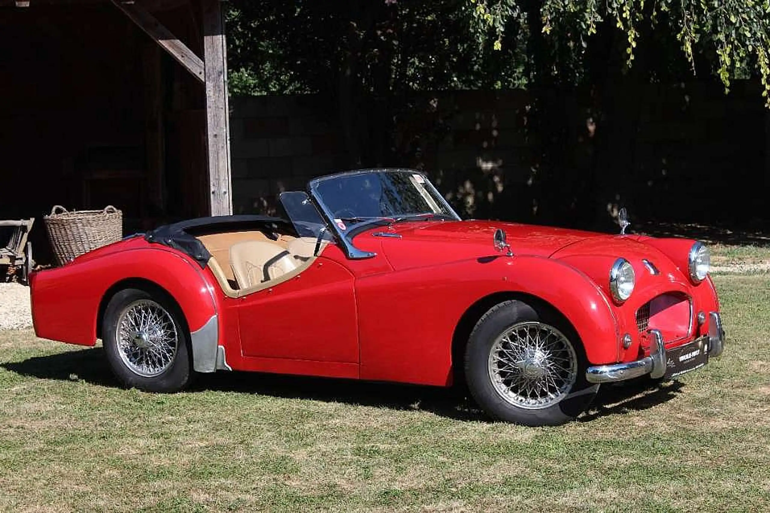 Austin-Healey Others 1955