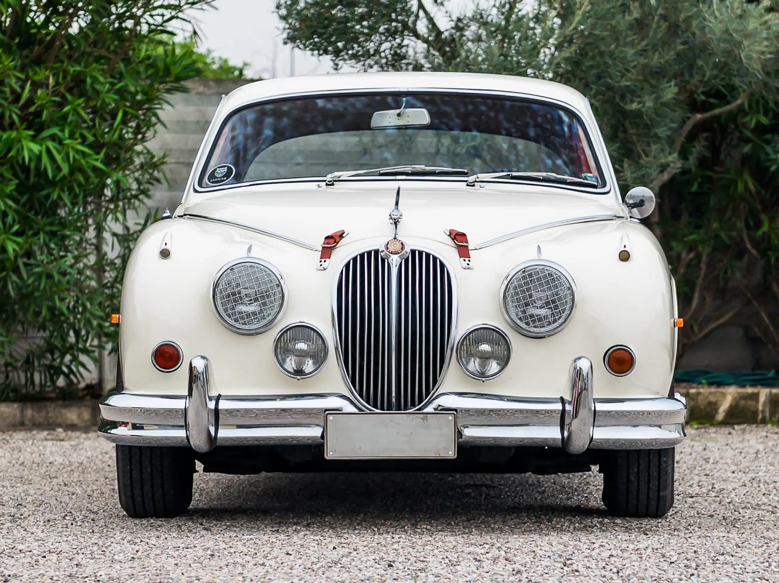 Jaguar - MK II