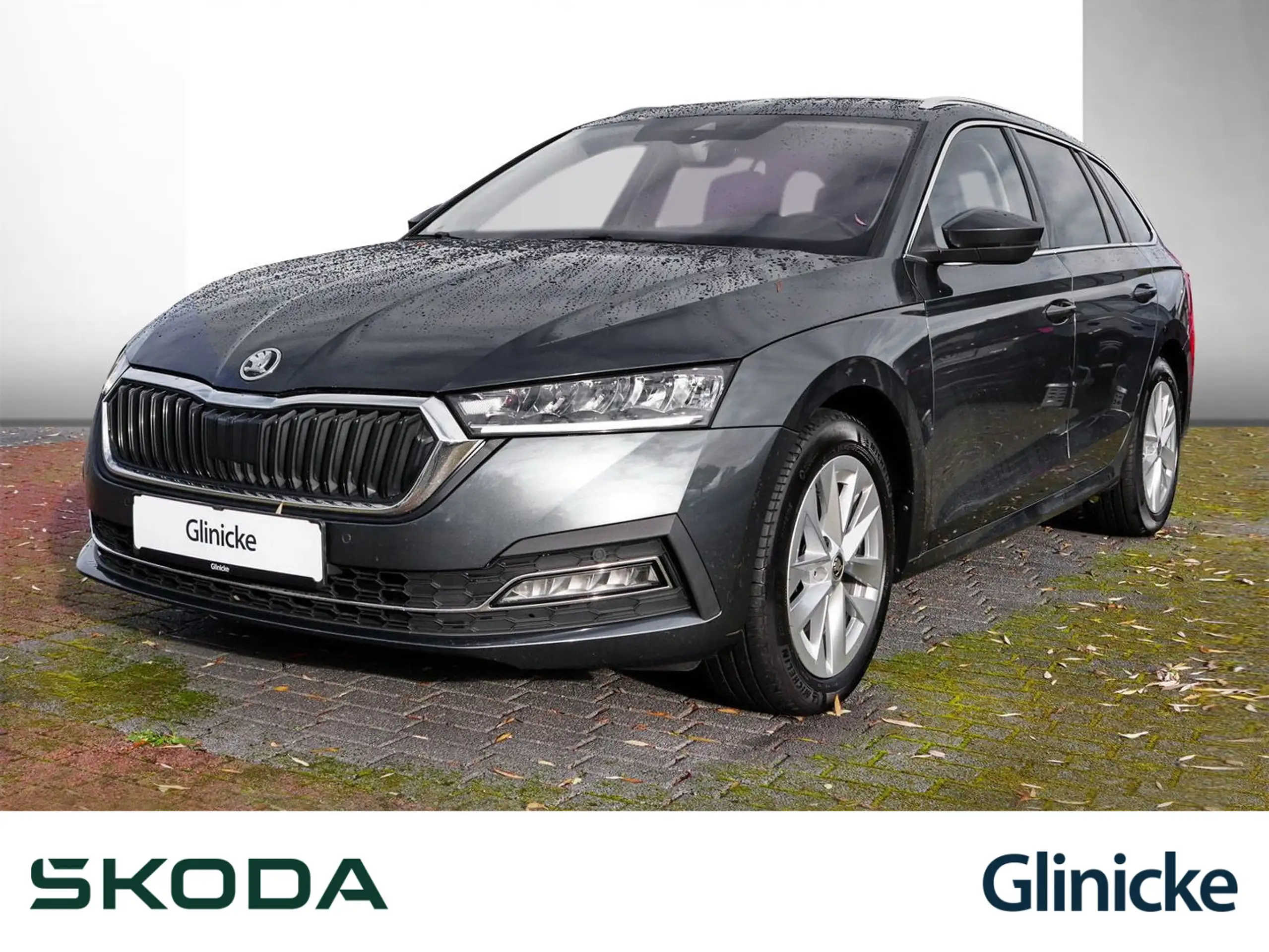 Skoda - Octavia