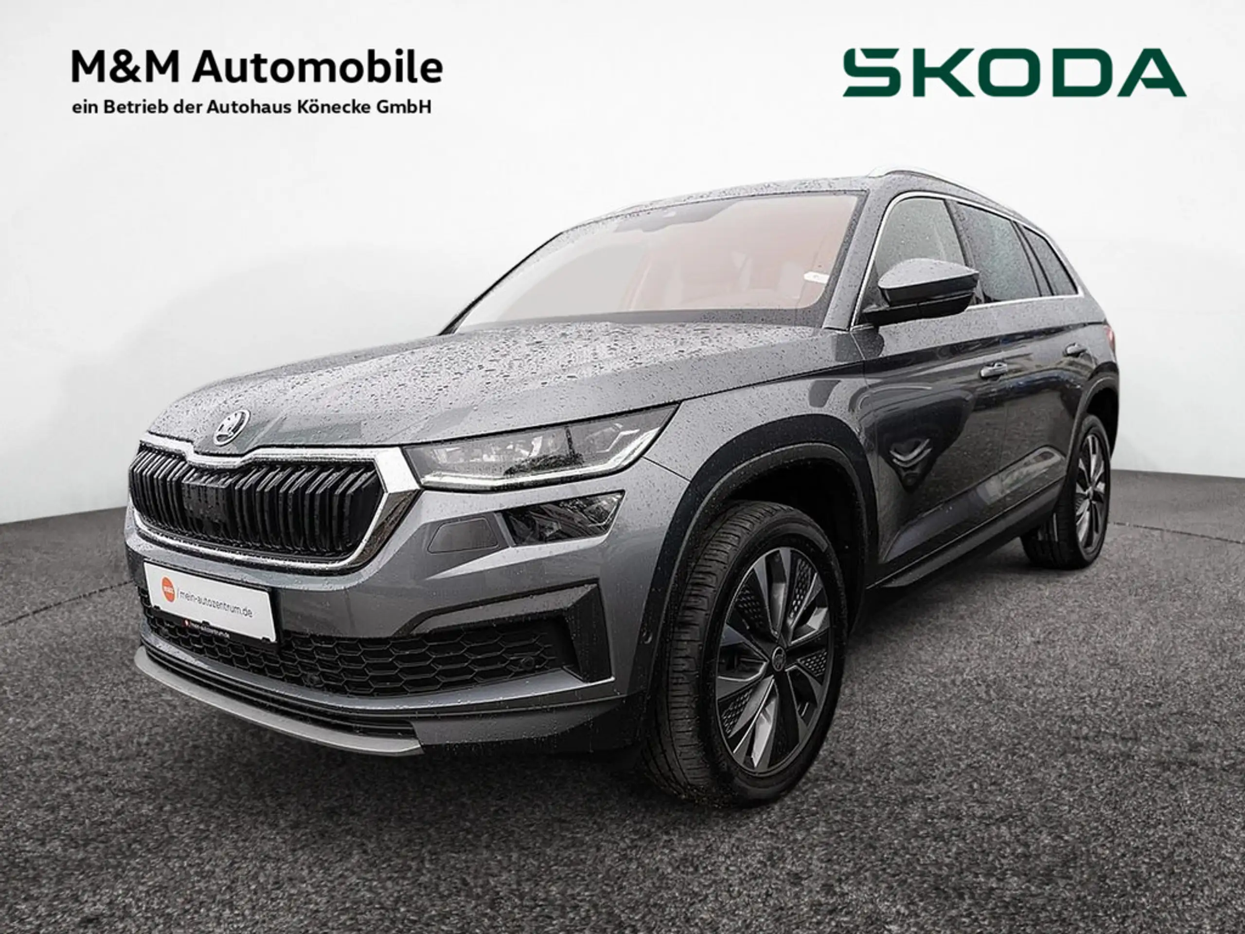 Skoda - Kodiaq