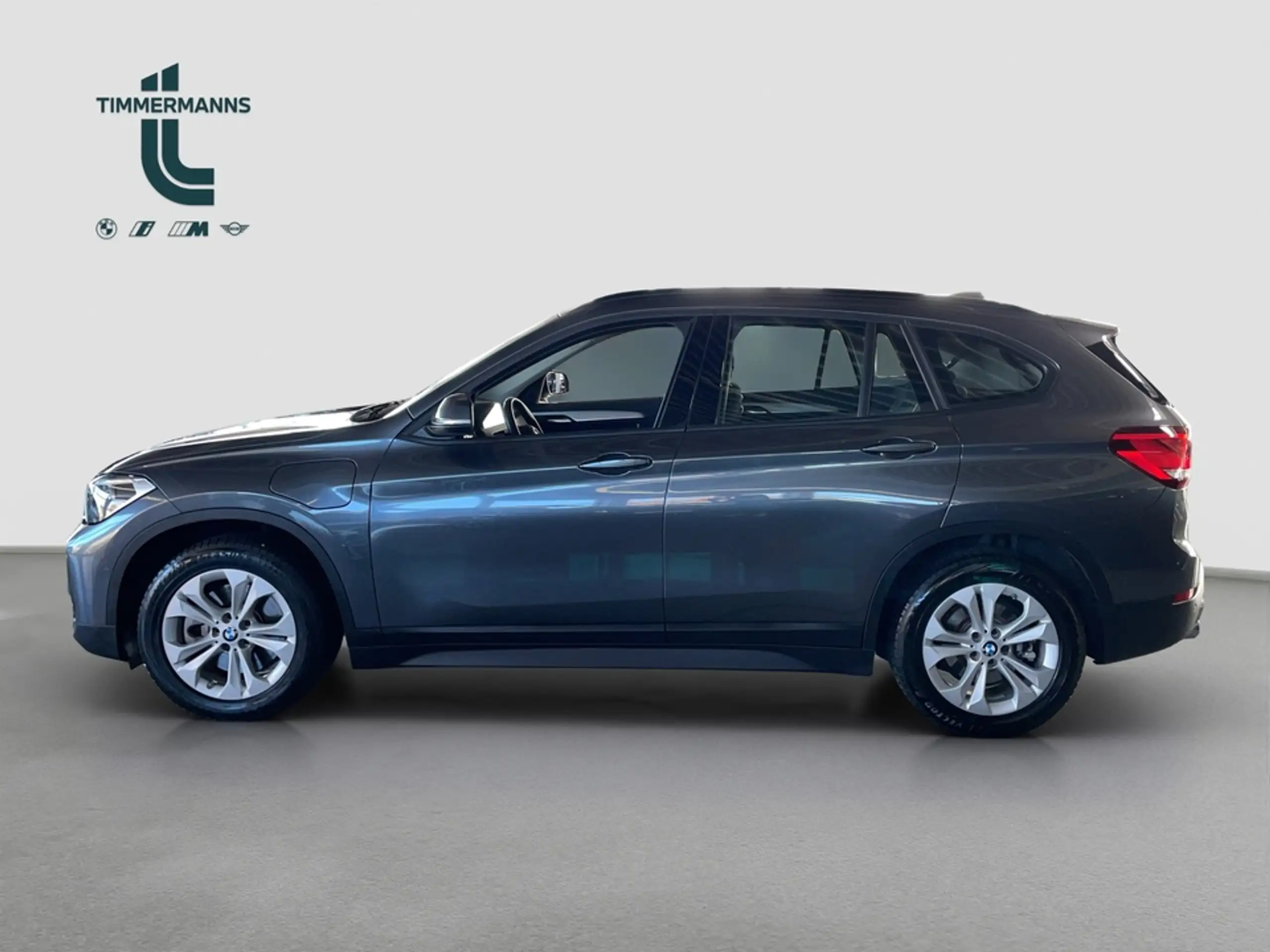 BMW - X1